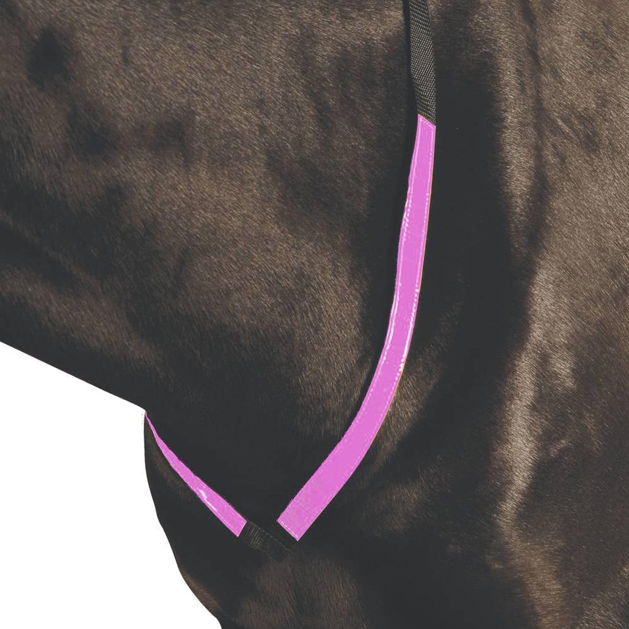 Roma Reflective Hi Viz Breastplate