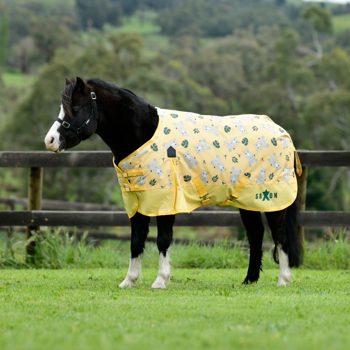 Saxon 600D Pony 180g Standard Neck Turnout Rug Rhino Print - 4'0