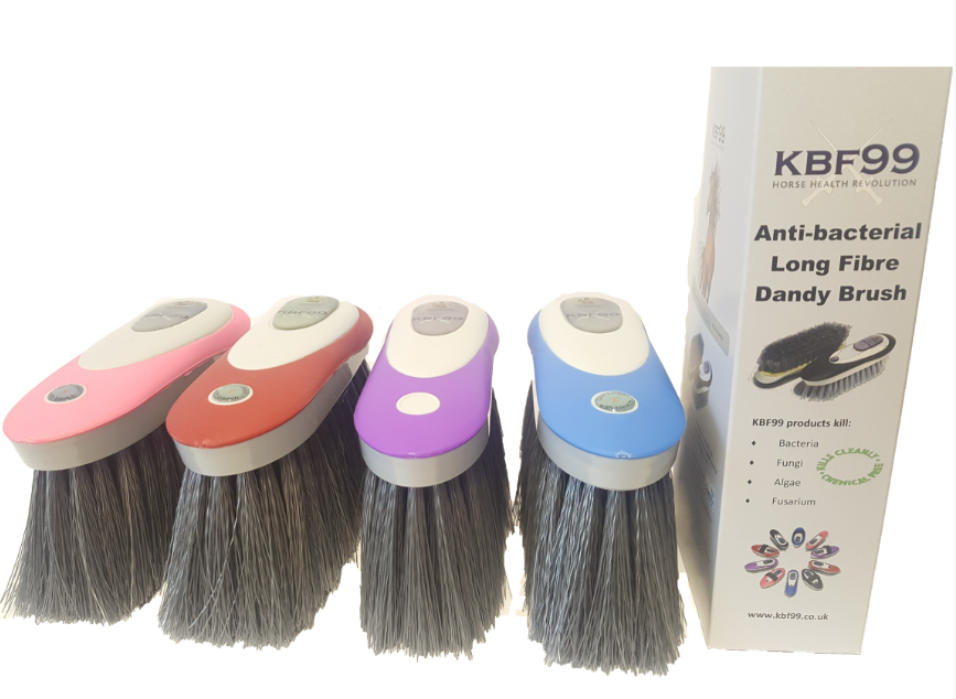 KBF99 Dandy Brush Long Fibre
