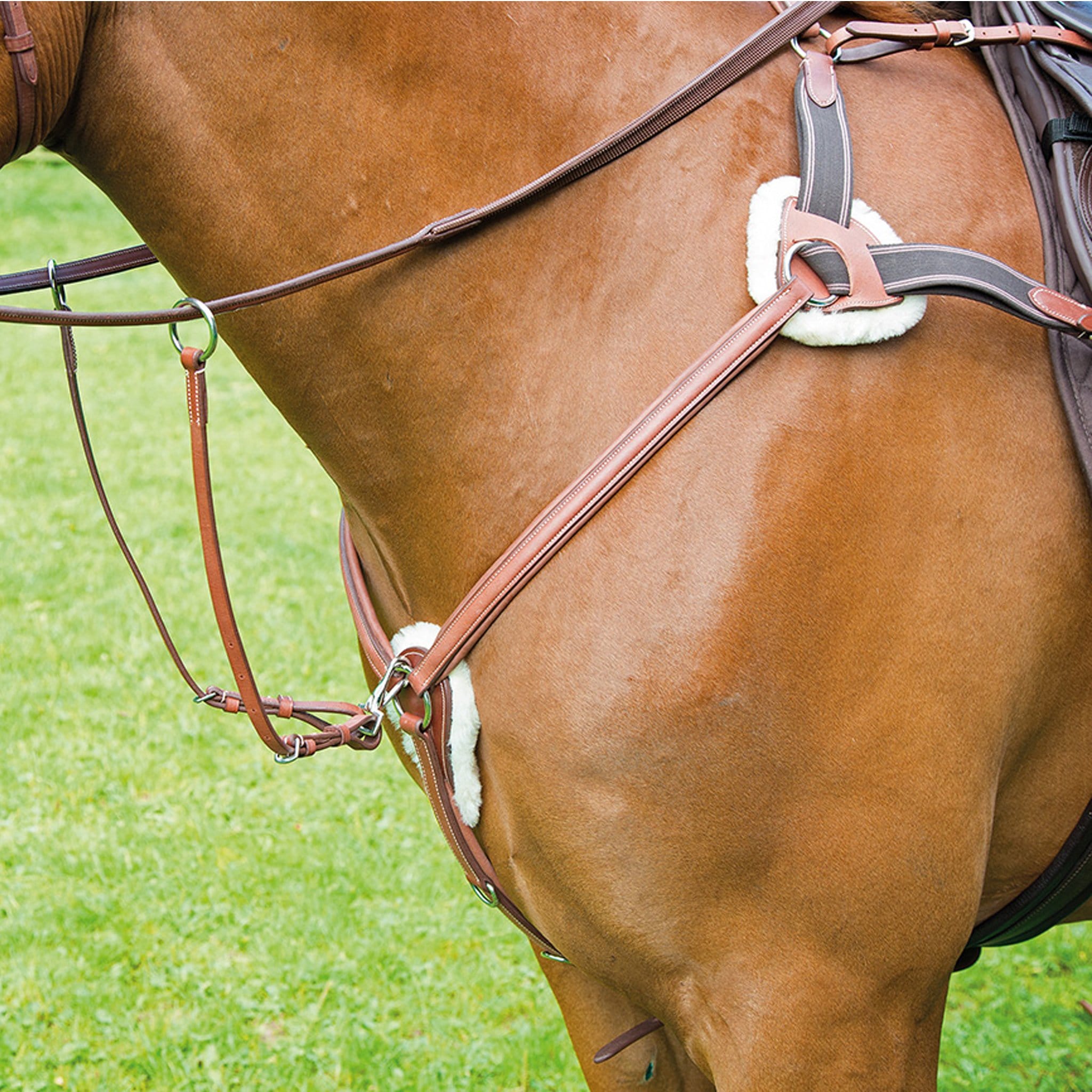 Shires Avignon 5 Point Breastplate - Extra Full · Oak