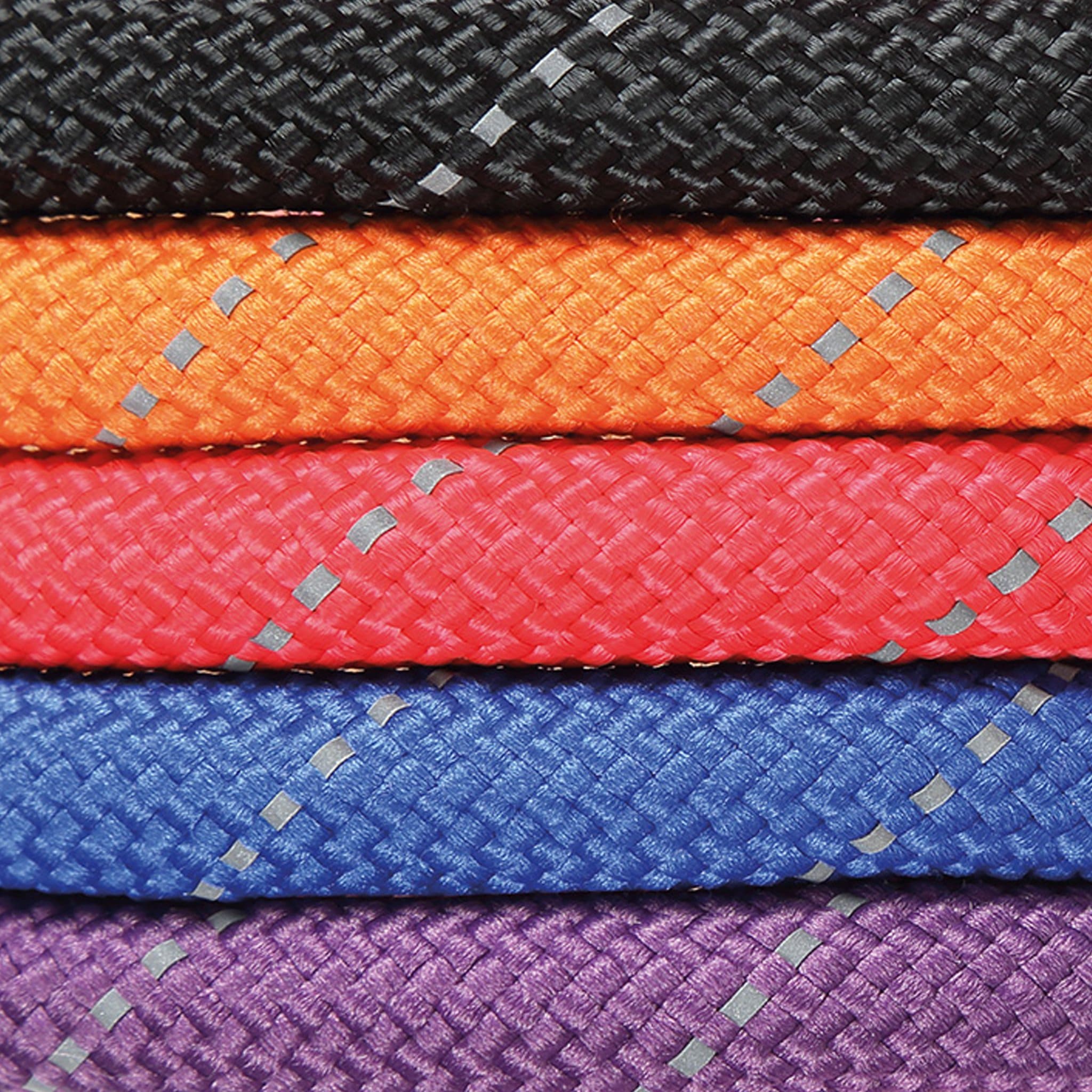 Shires Digby and Fox Reflective Training Lead