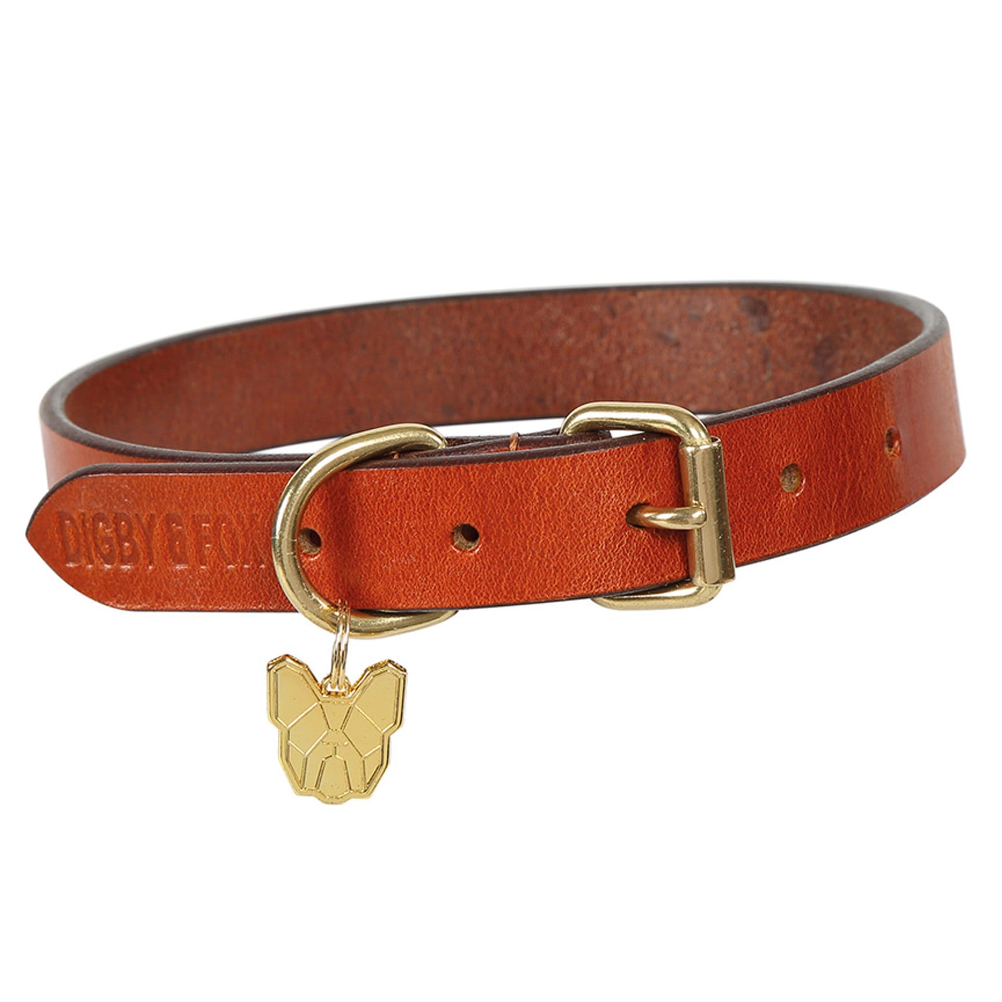 Shires Digby and Fox Flat Leather Dog Collar - S (35 - 40cm) · Tan