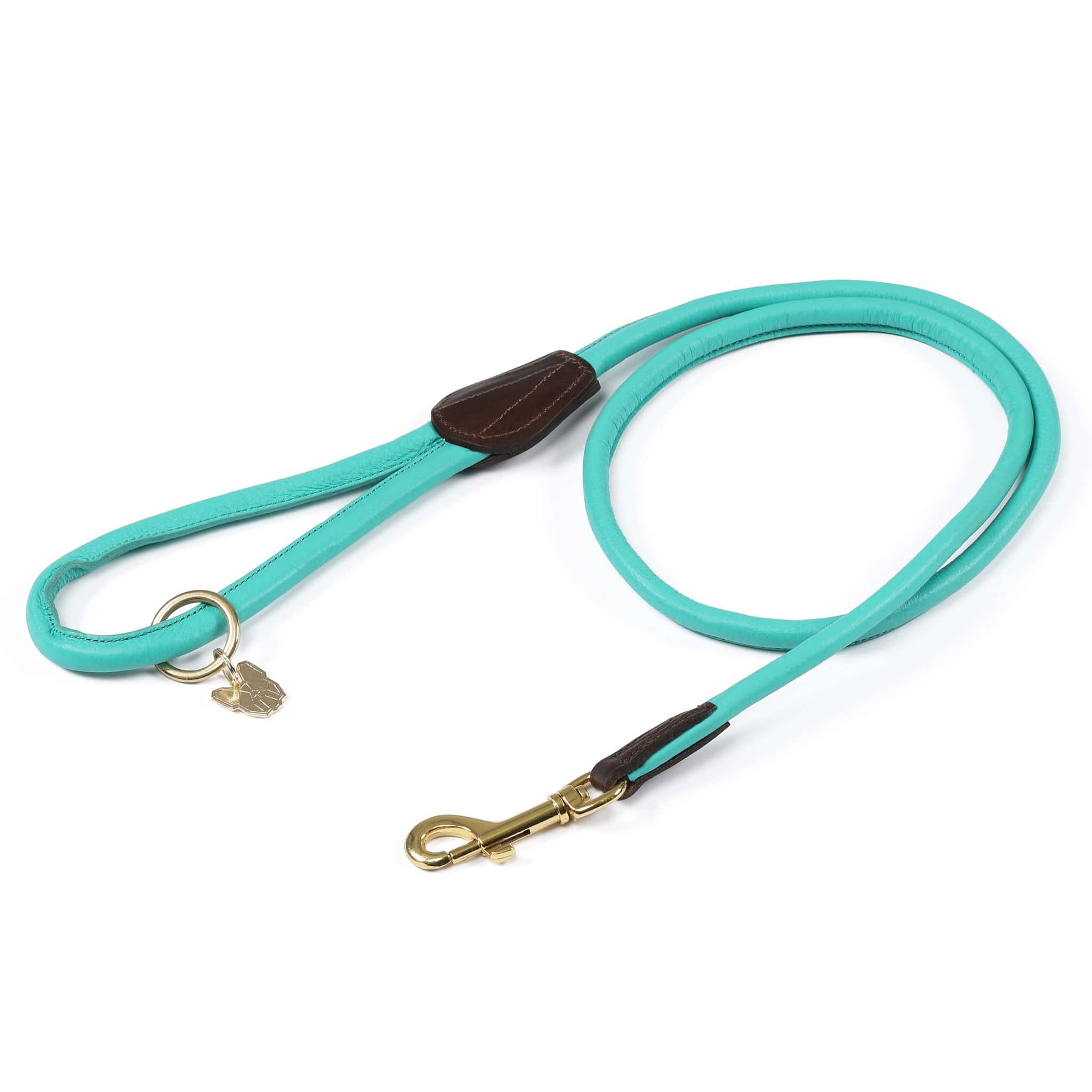 Shires Digby and Fox Rolled Leather Dog Lead - Teal