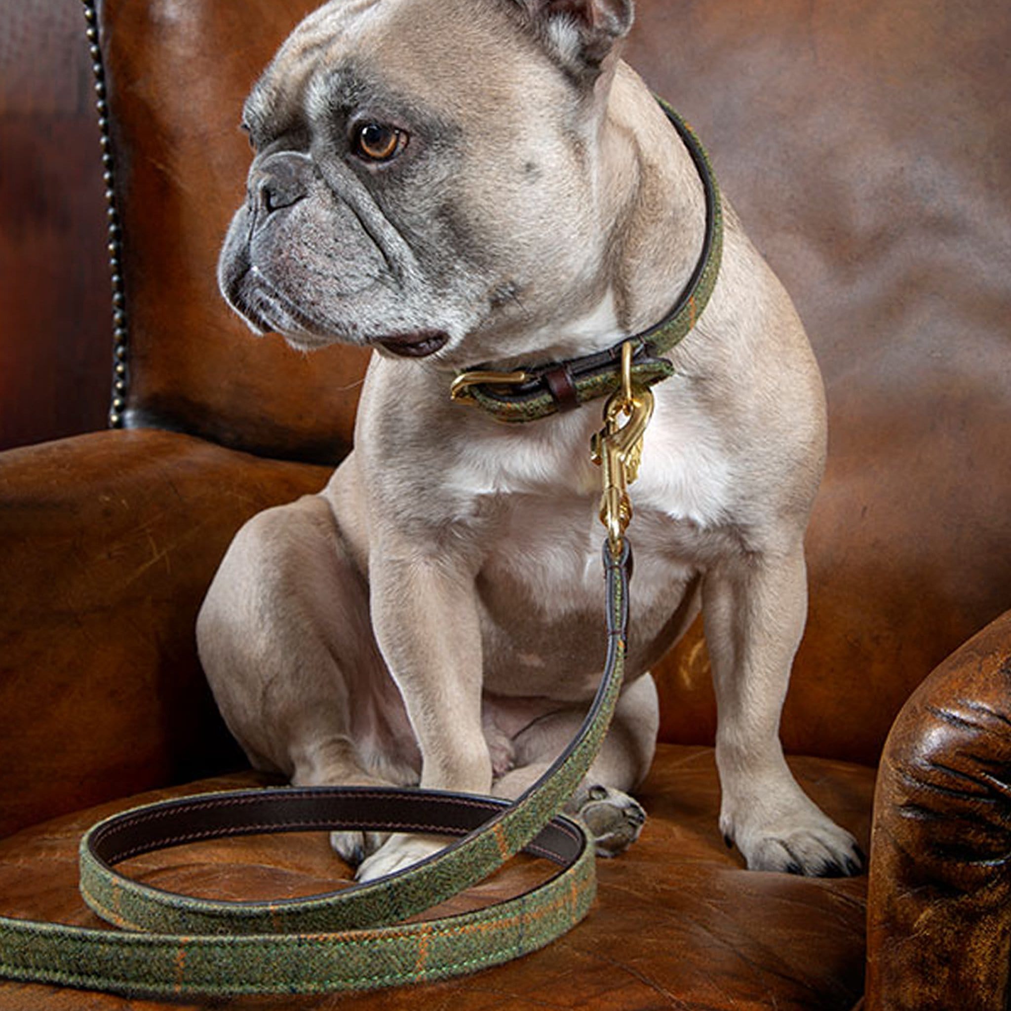 Shires Digby and Fox Tweed Dog Lead