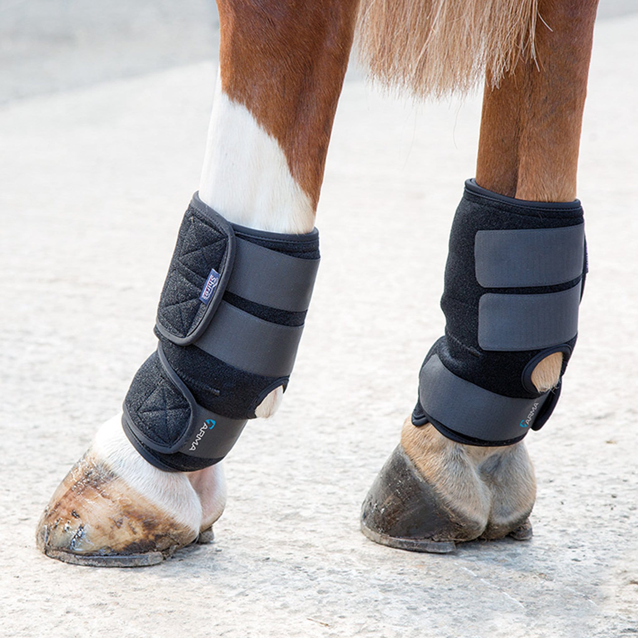 Fetlock hotsell support boots