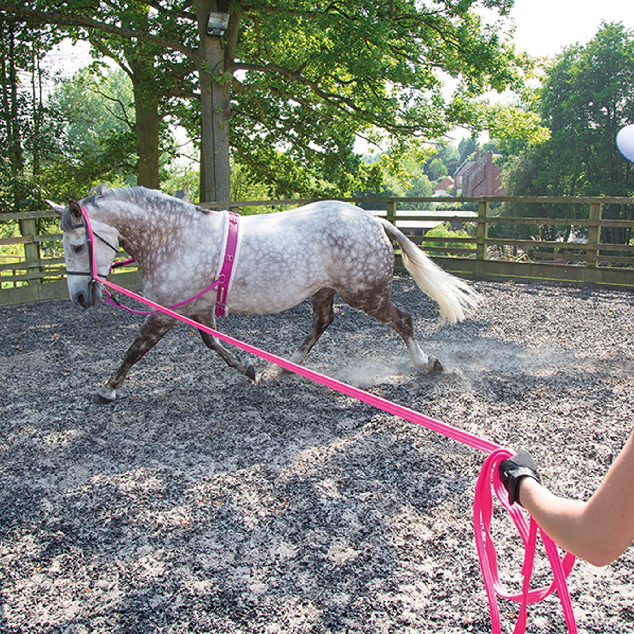 Shires Nylon Web Side Reins