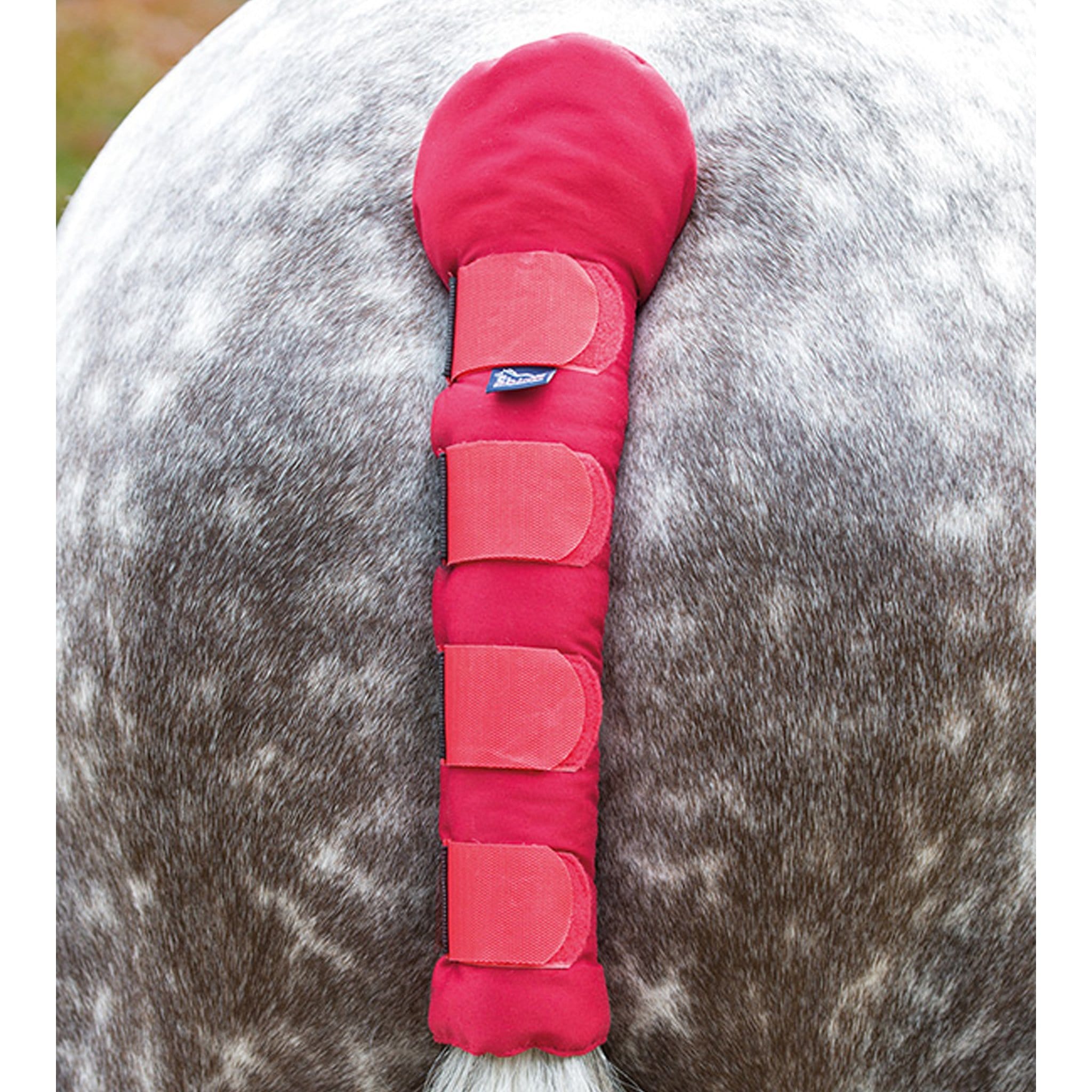 Shires Padded Tail Guard - Red