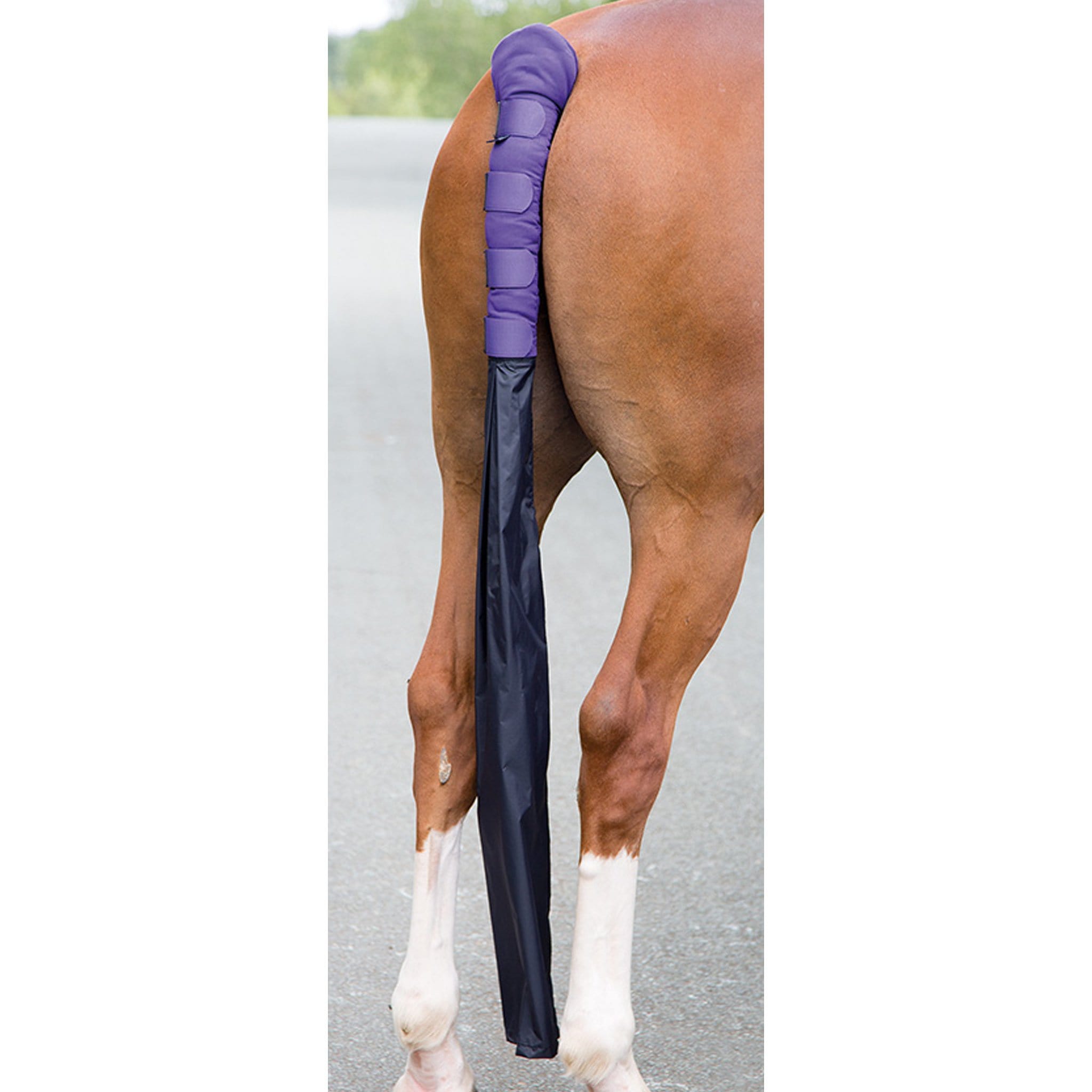 Shires Padded Tail Guard with Bag - Purple