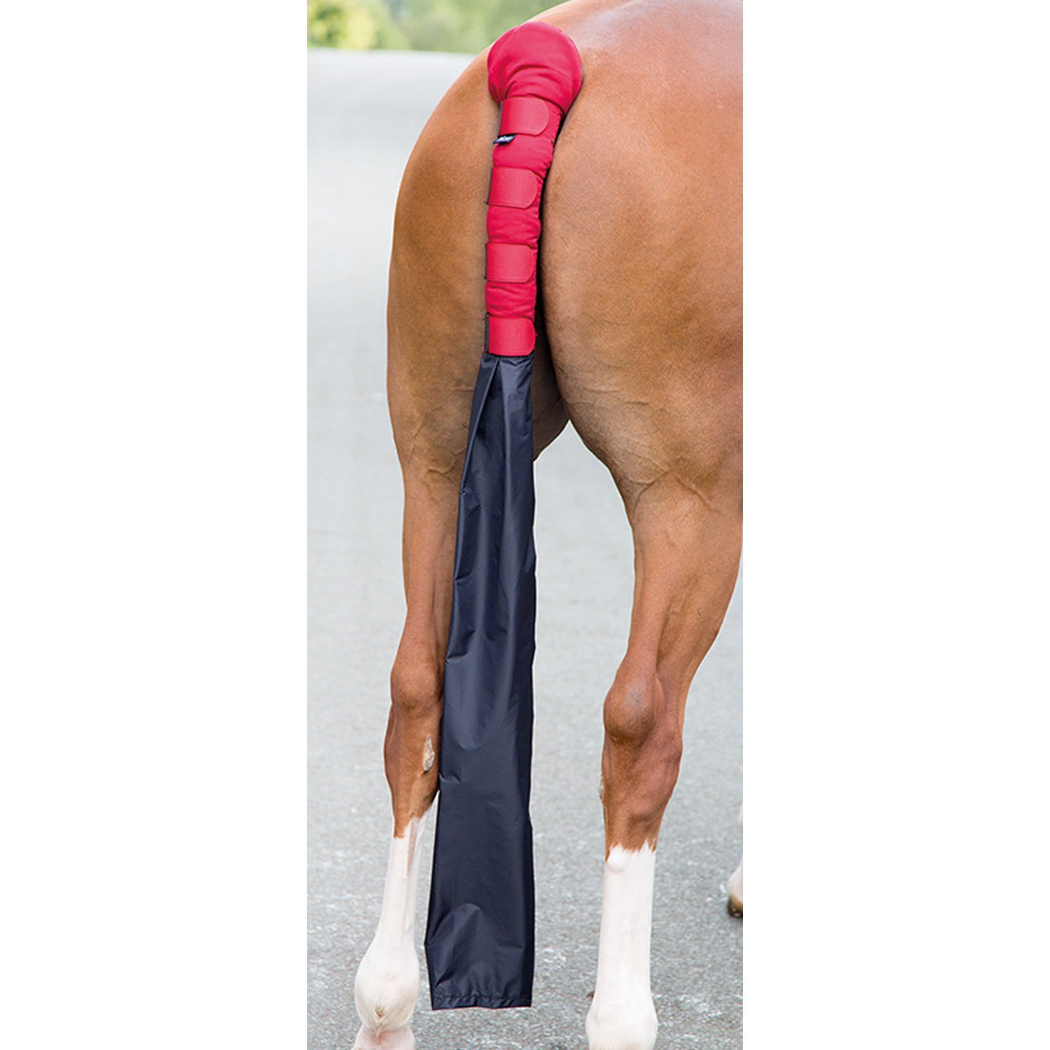 Shires Padded Tail Guard with Bag - Red