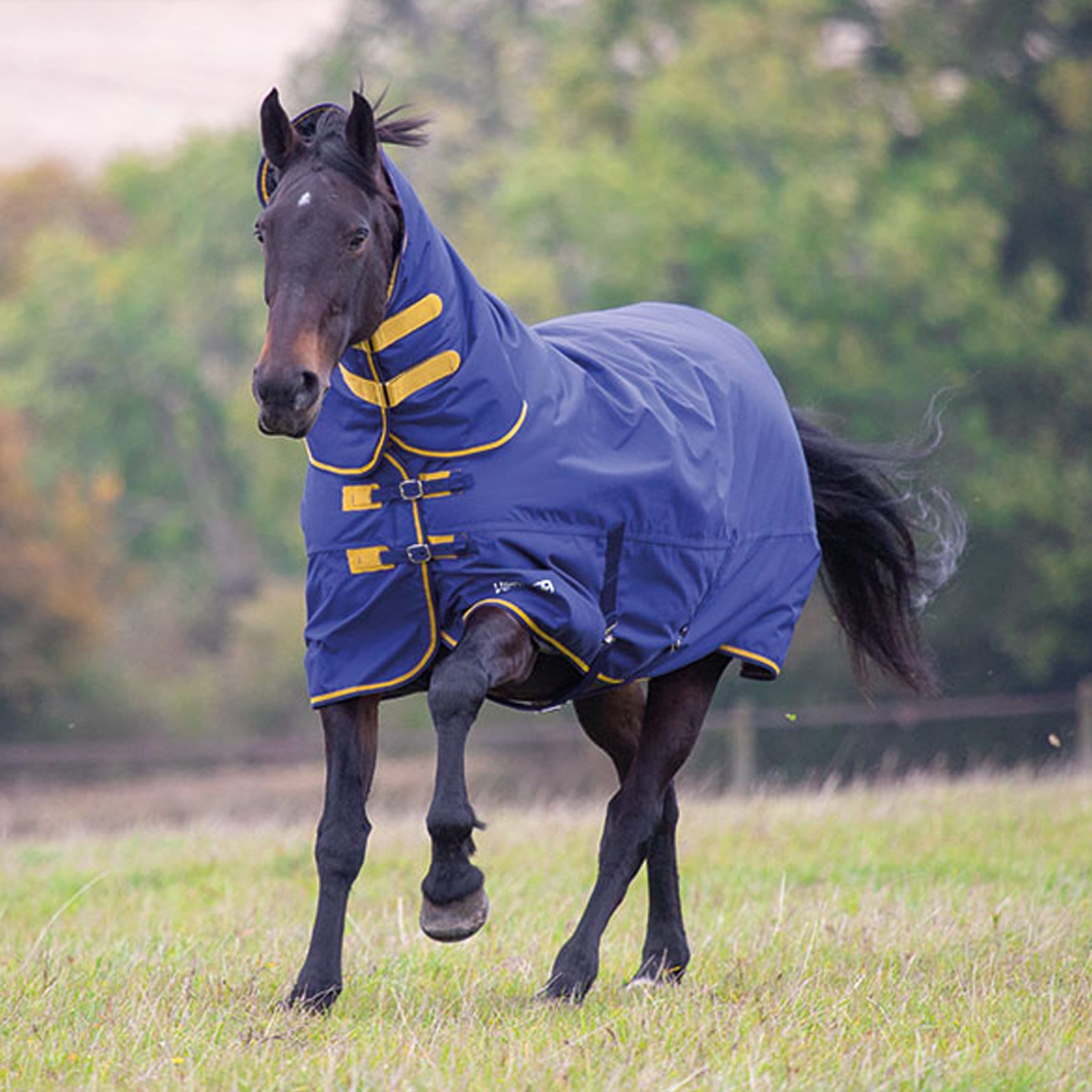 Shires Tempest Original 300g Combo Neck Turnout Rug