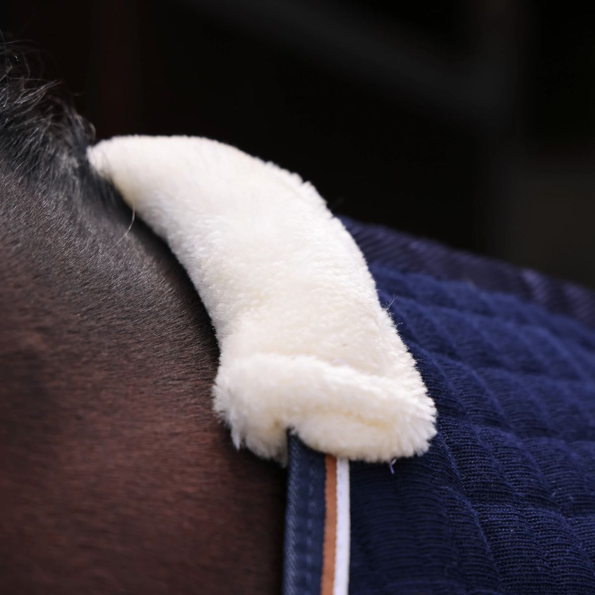 Shires Tempest Original Tech Cooler