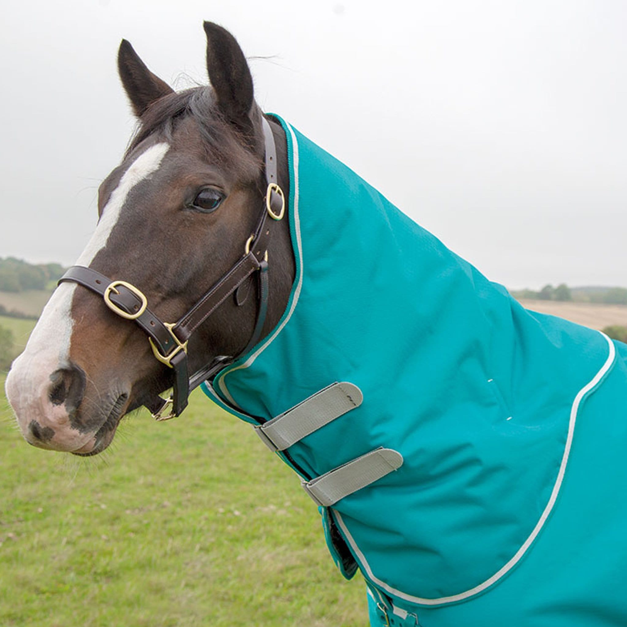 Shires Tempest Plus 200 Neck Cover Teal 9680N.