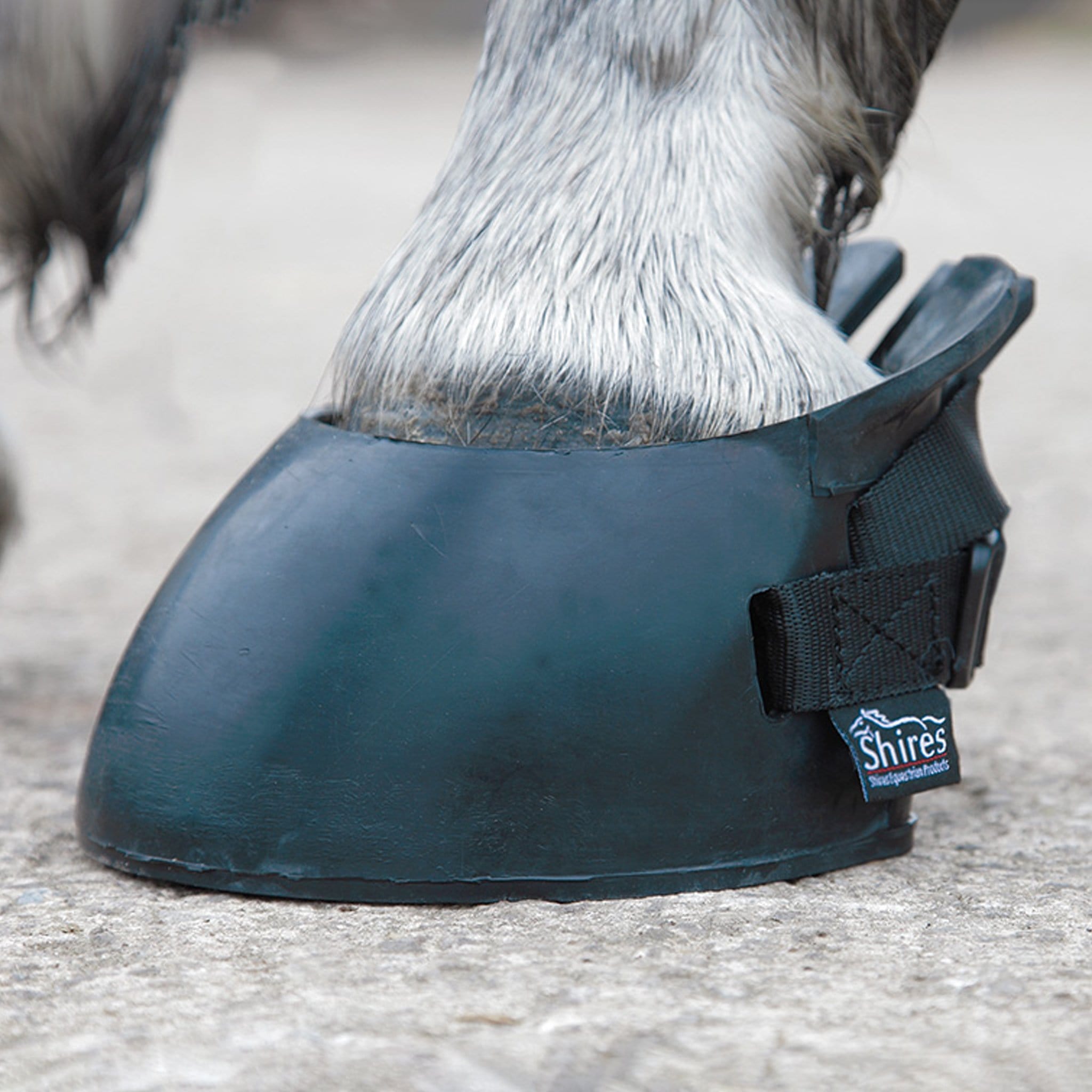 Shires Temporary Shoe Boot 1847 Black