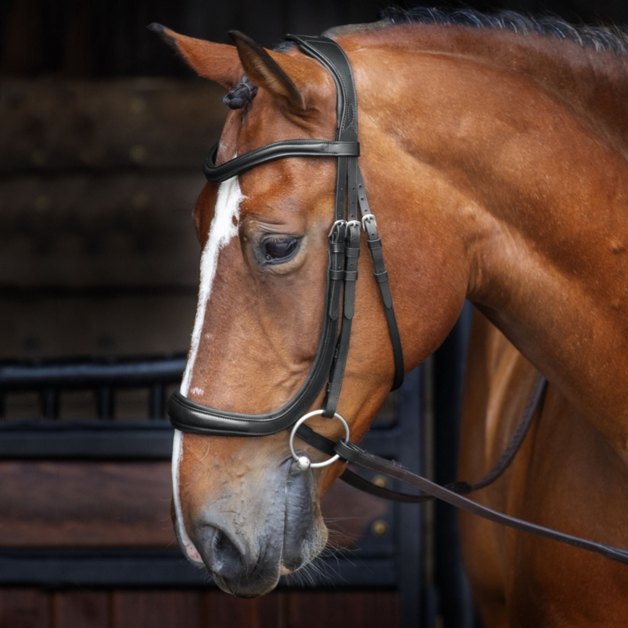 Horse bridles for sale hotsell