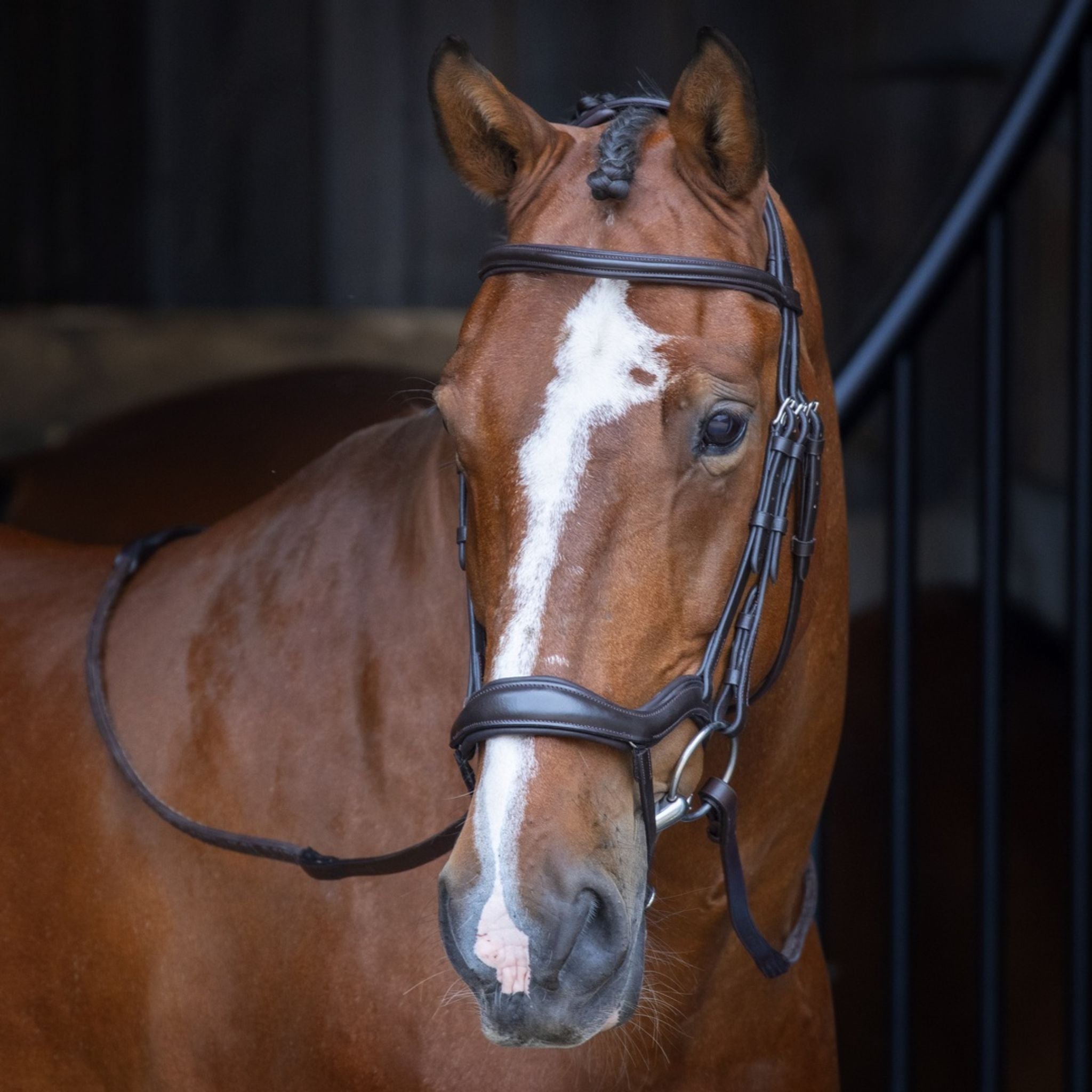 Velociti Rapida Ergonomic Flash Bridle - Full · Havana