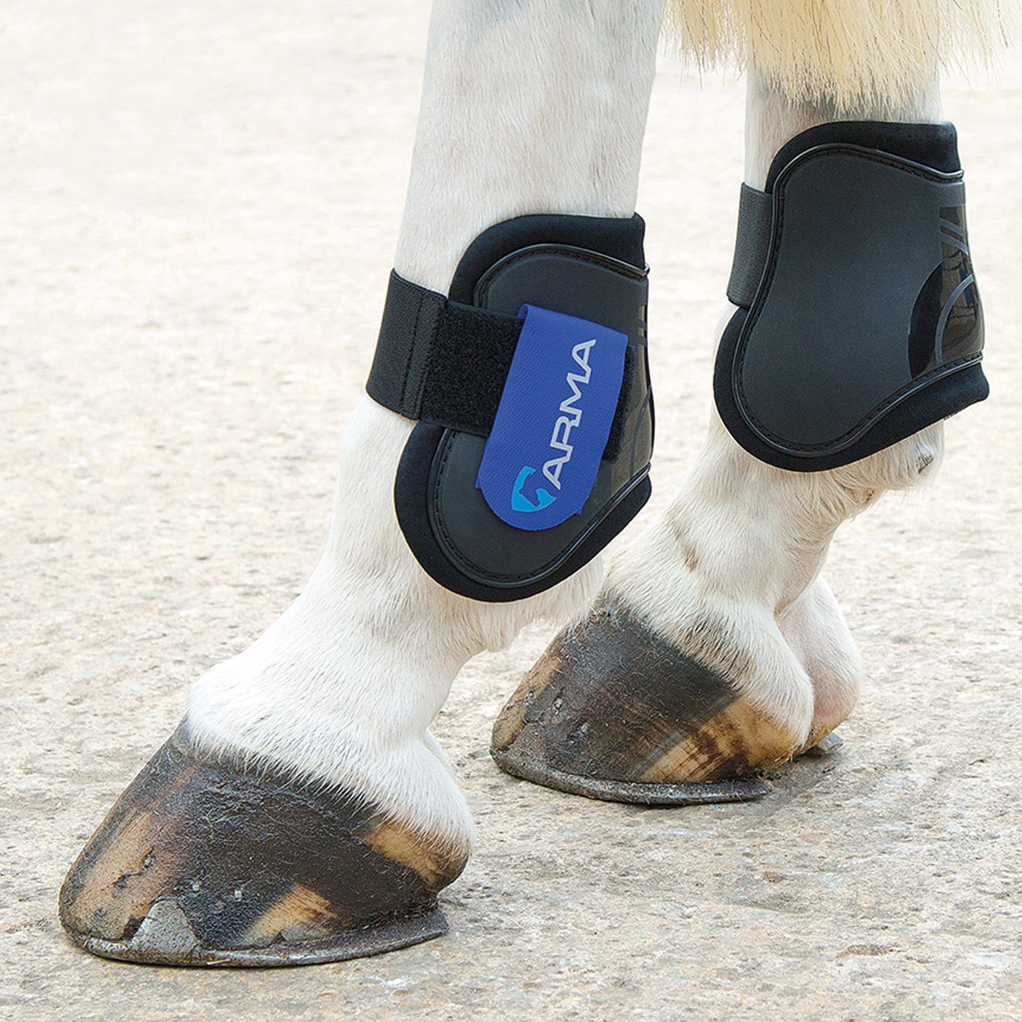 Arma Open Fronted Fetlock Boots - Pony/Cob · Black and Royal Blue