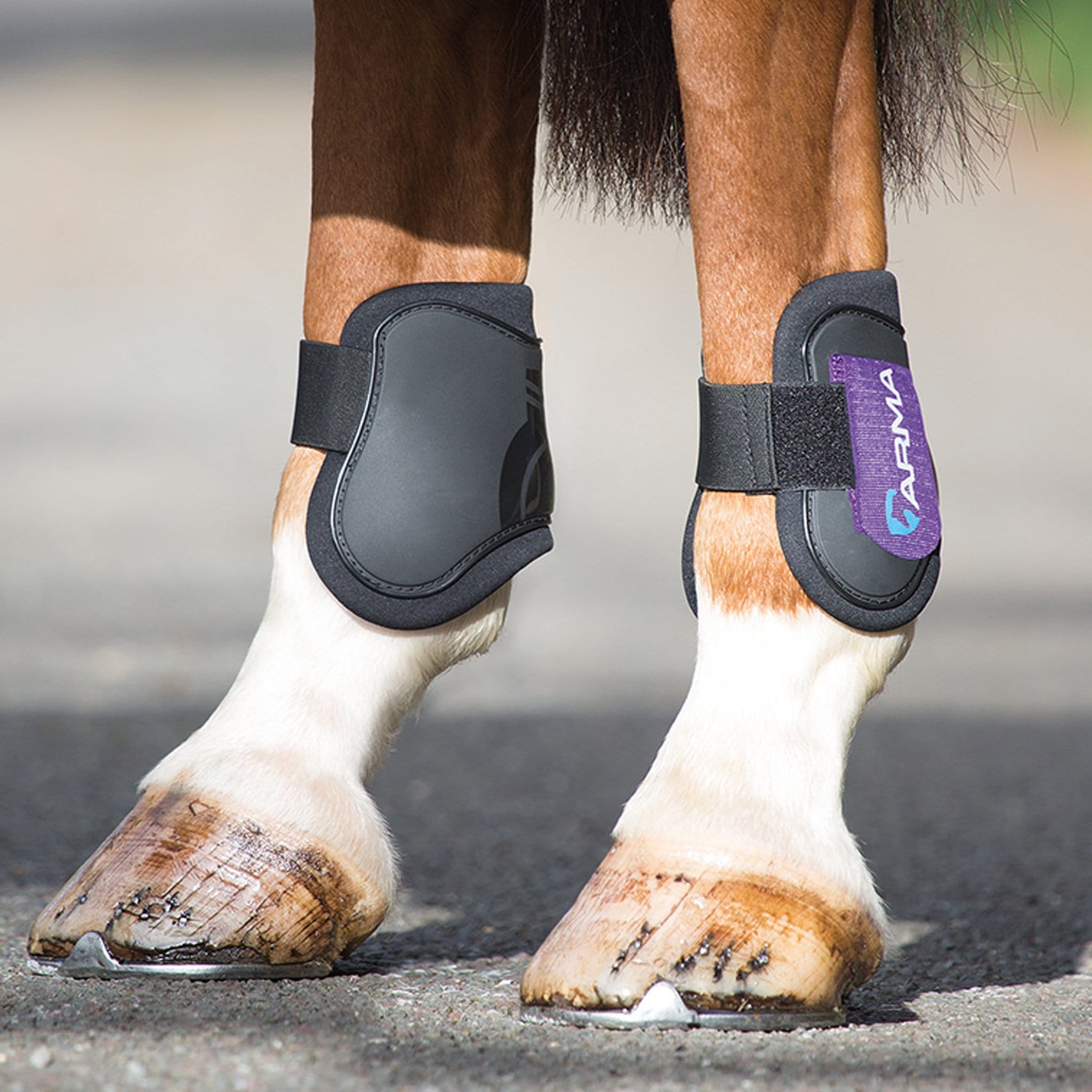 Arma Open Fronted Fetlock Boots - Pony/Cob · Black and Plum