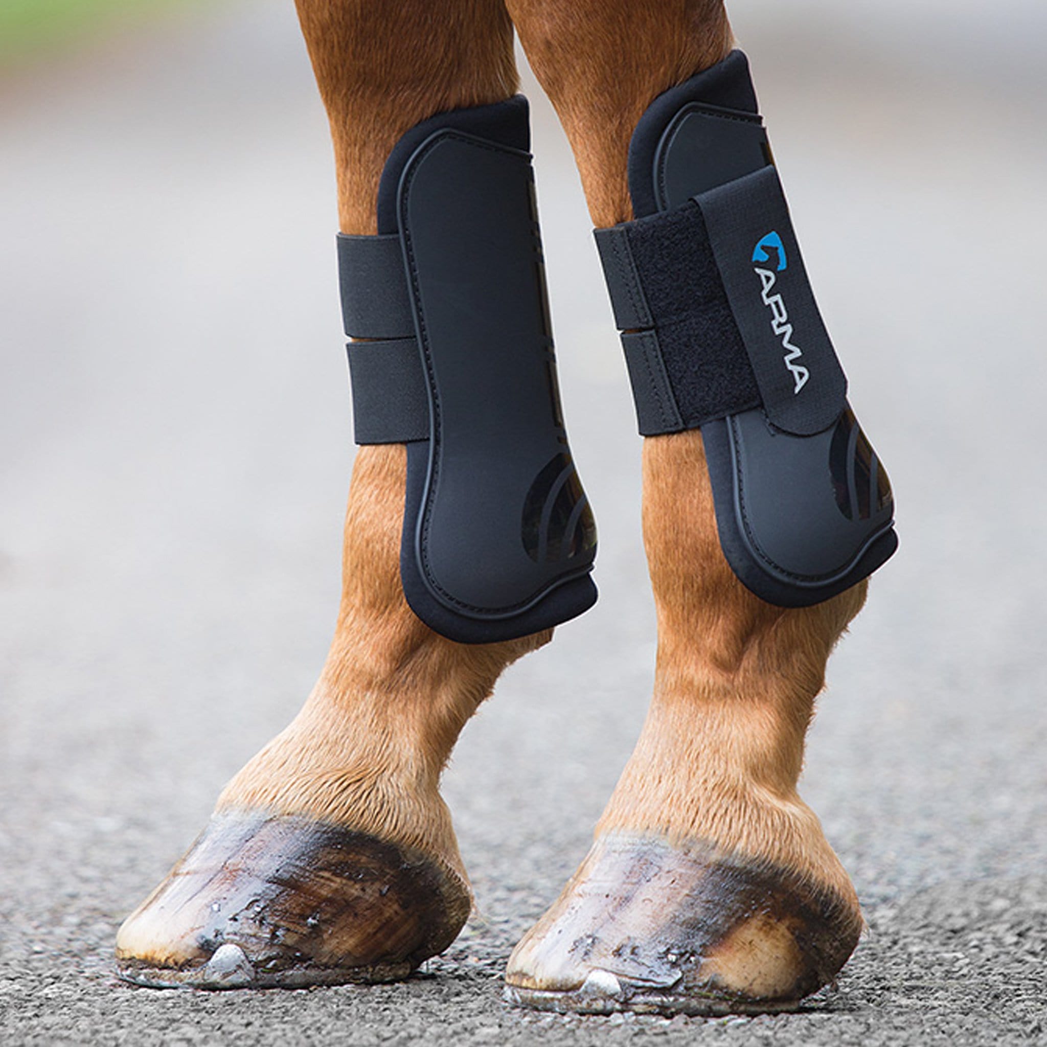 Open front shop tendon boots