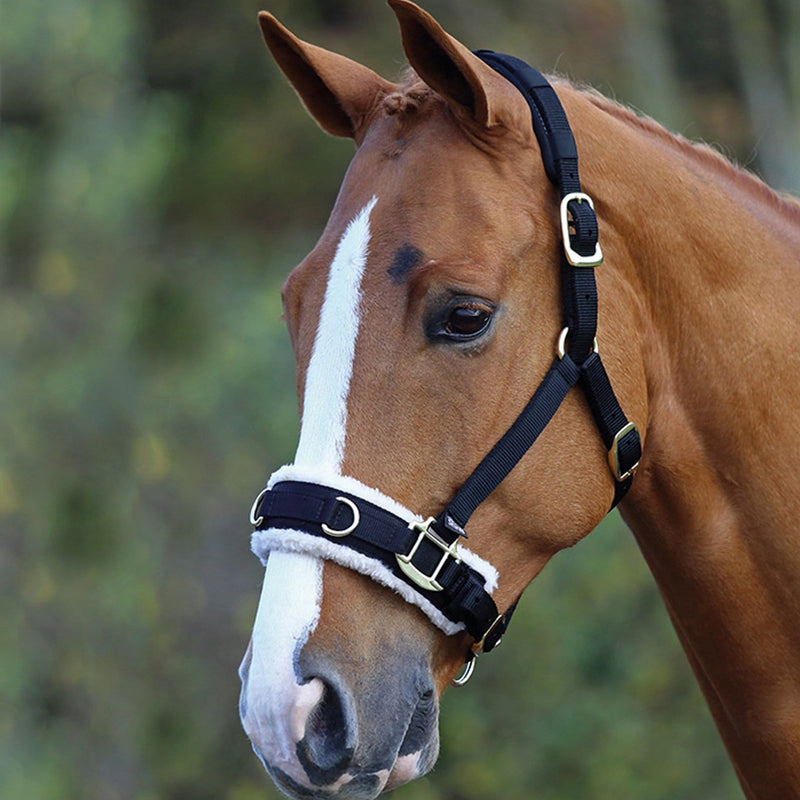Shires Fleece Lined Lunge Cavesson