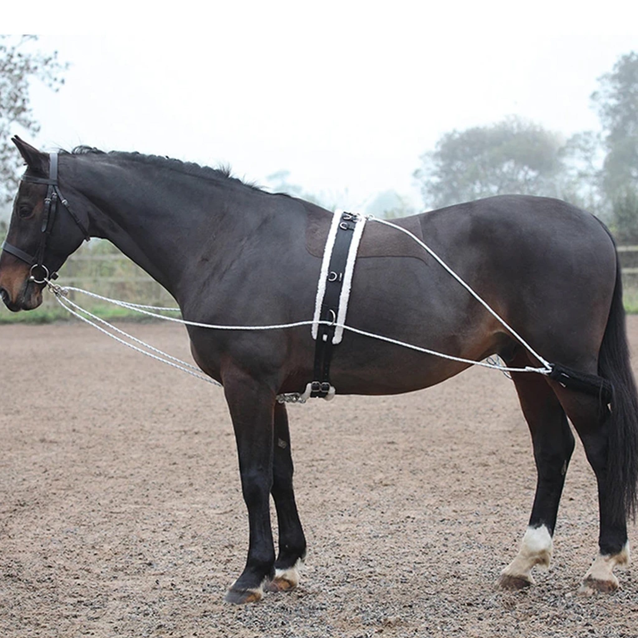 Shires Lunging Aid 435