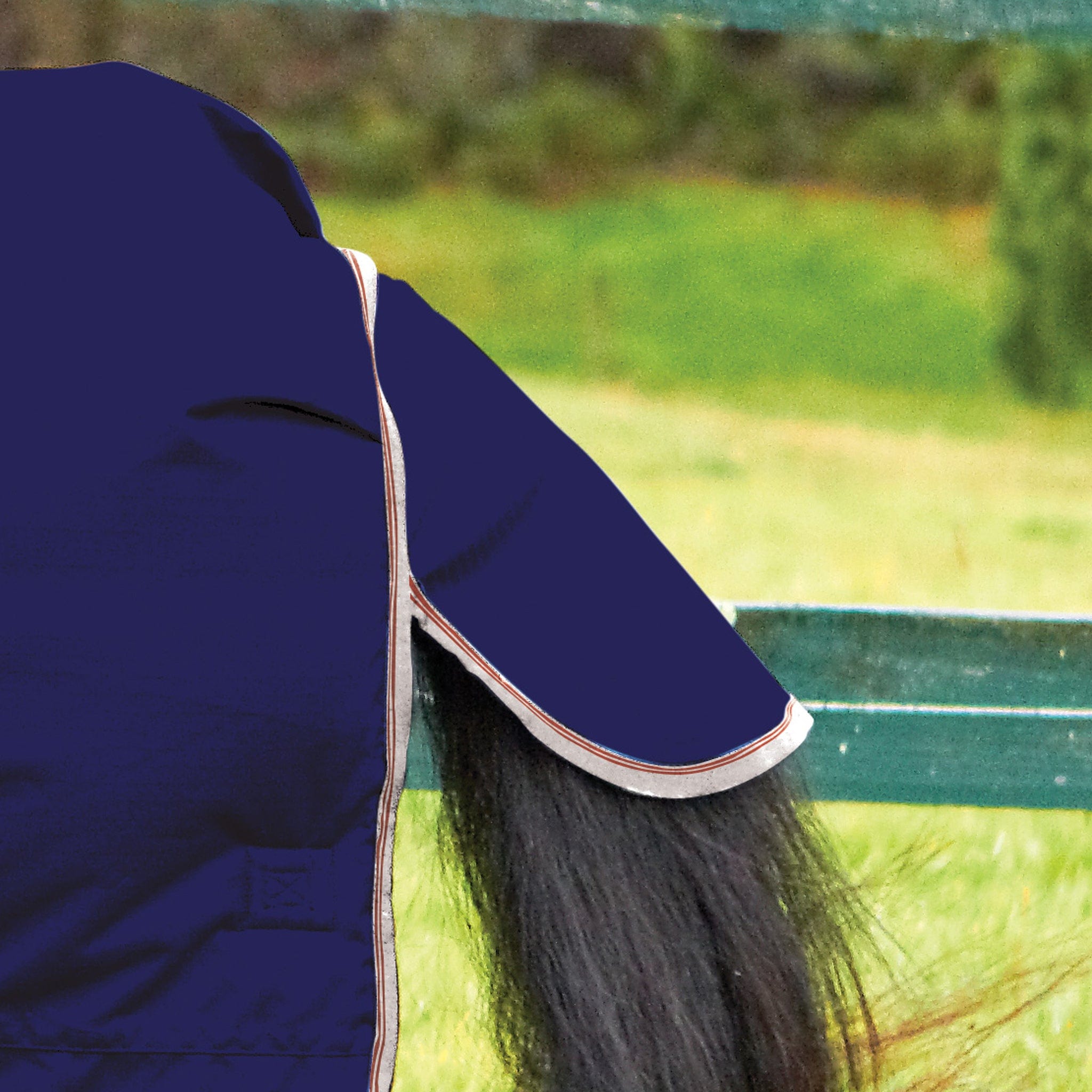 Weatherbeeta ComFiTec Essential 360g Combo Neck Turnout Rug