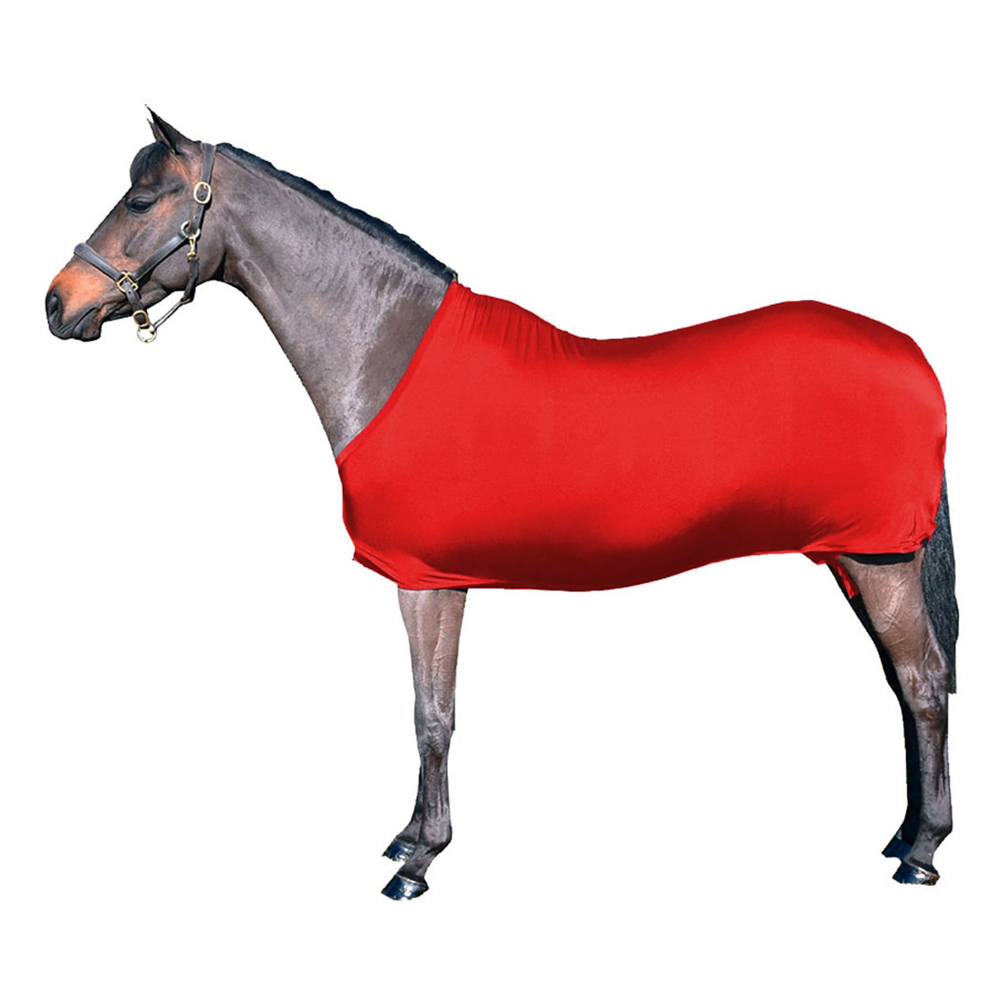 Supreme Products Rug Wrap - 13.2hh · Red