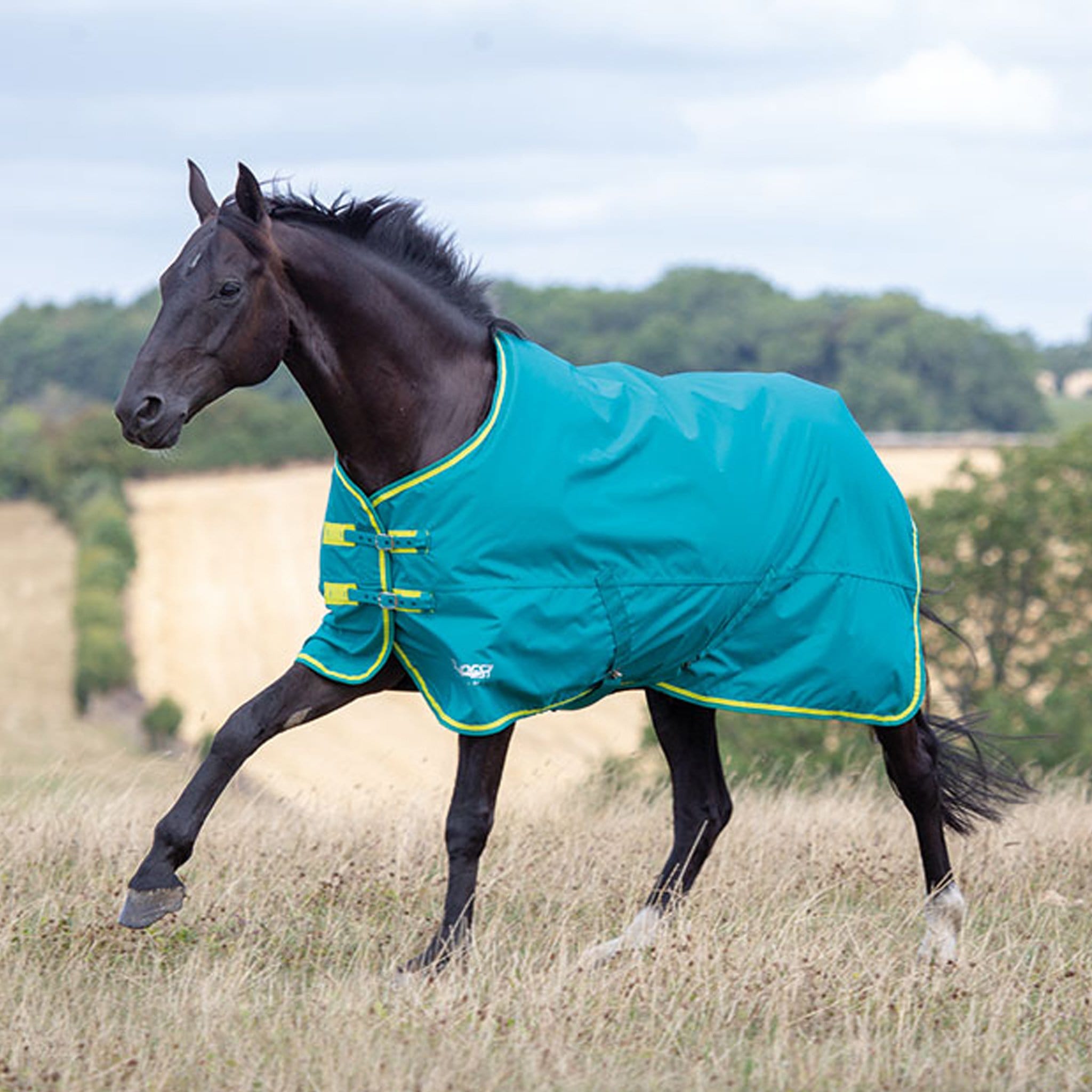 Shires Tempest Original 50g Standard Turnout Rug