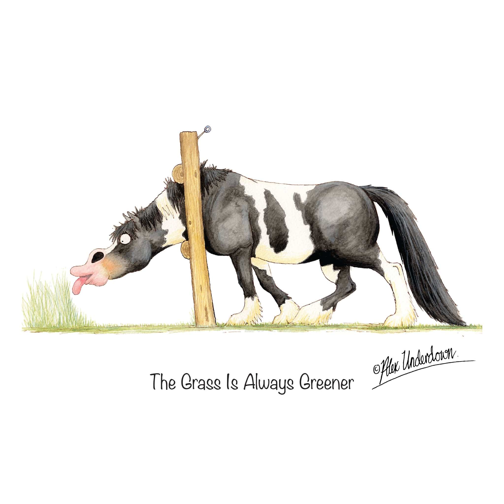 The Grass Is Always Greener Greeting Card ALUNGRASSGC01
