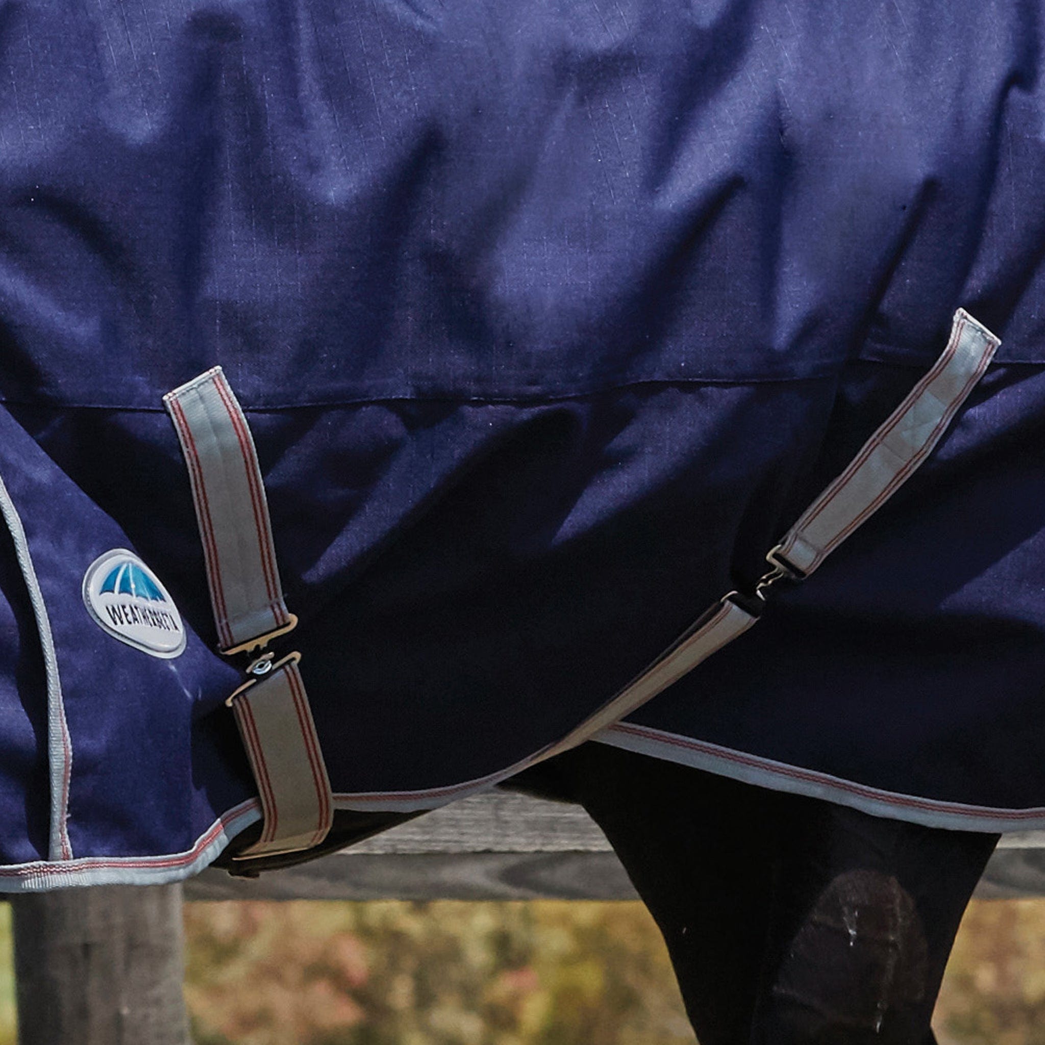 Weatherbeeta ComFiTec Essential 360g Combo Neck Turnout Rug