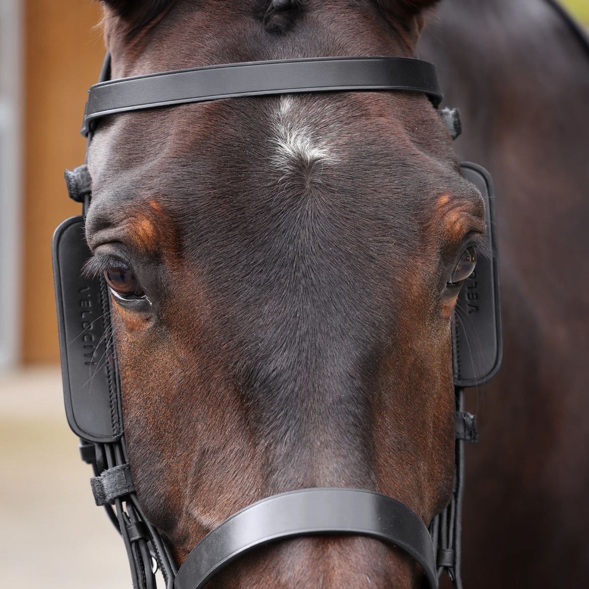 Velociti Gara Leather Blinkers - Black