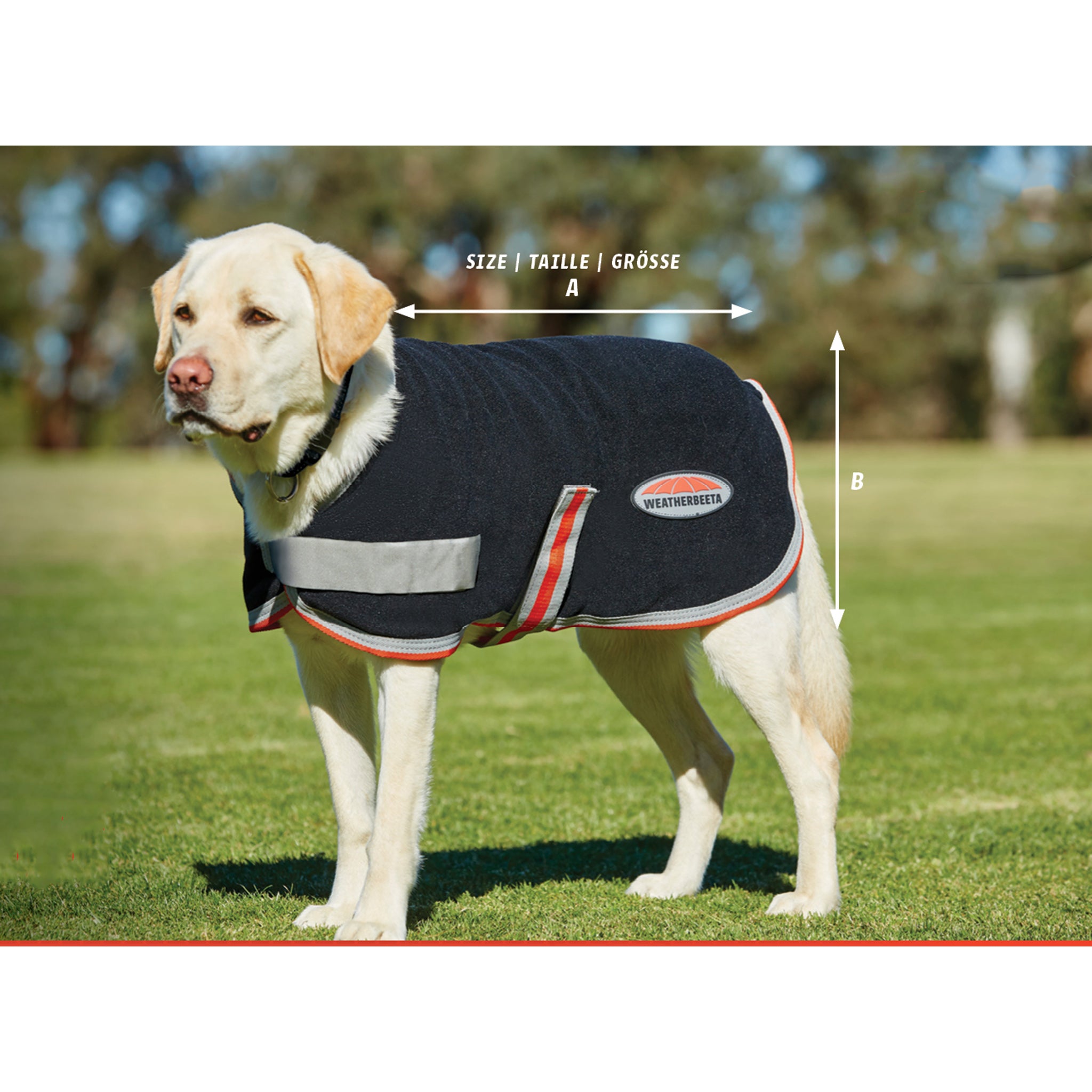 Weatherbeeta Dog Size Guide