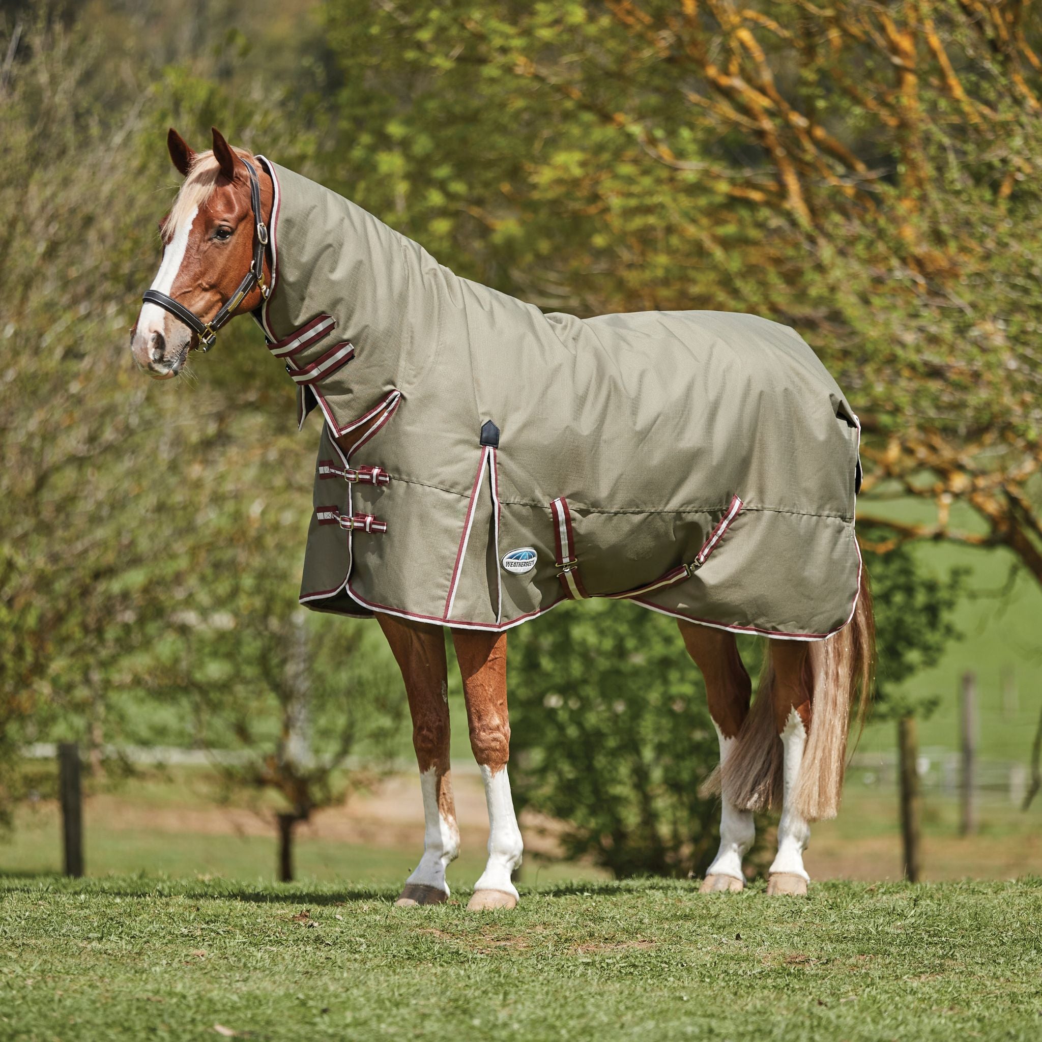 Weatherbeeta ComFiTec Essential 360g Combo Neck Turnout Rug