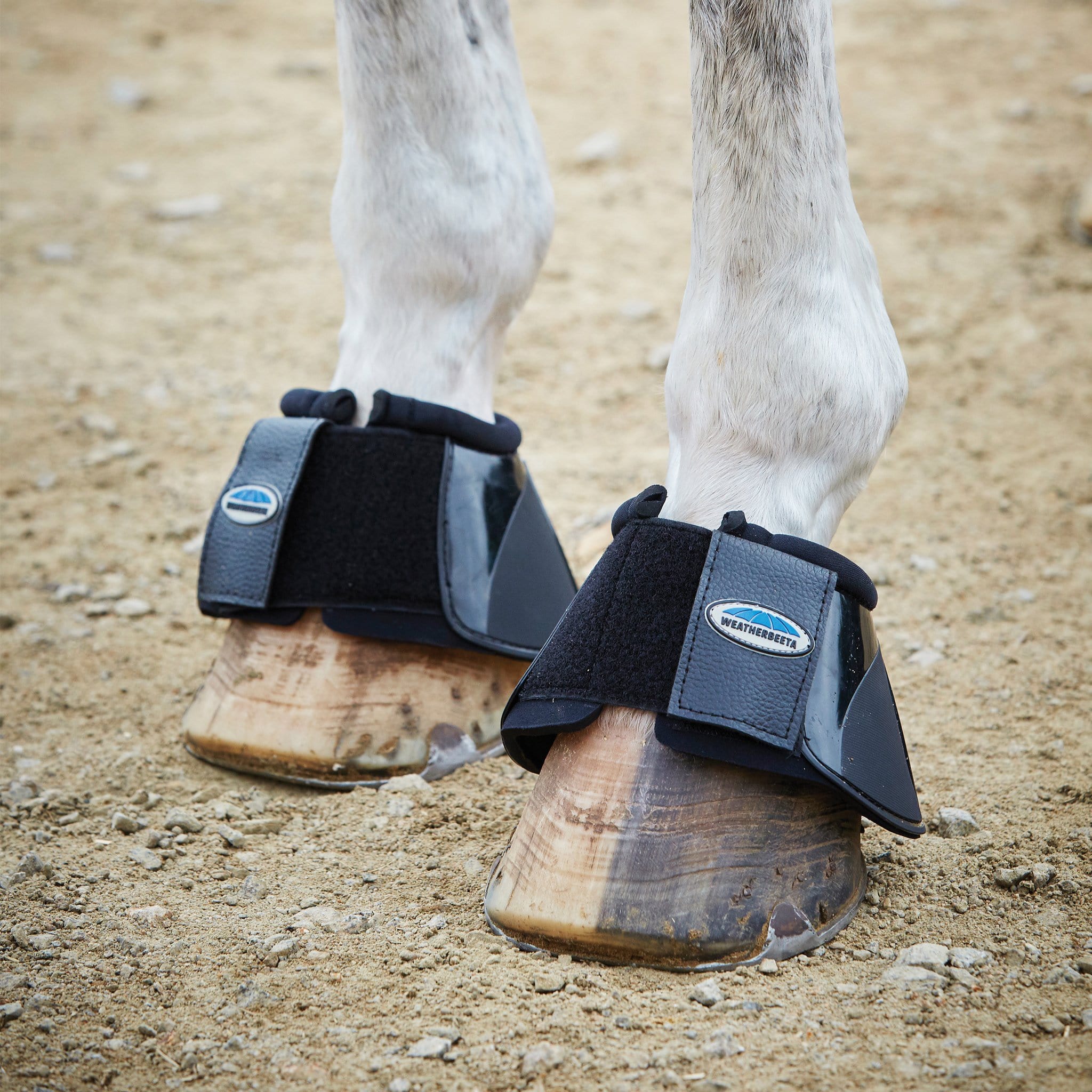 Overreach boots for discount horses