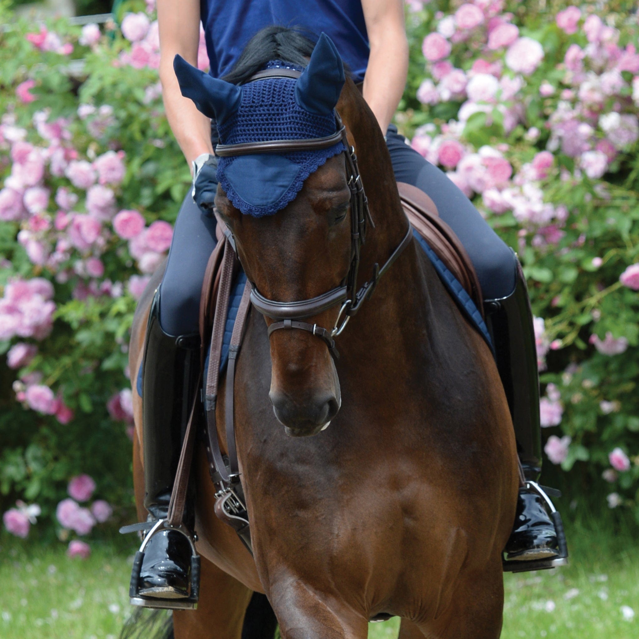 Weatherbeeta Prime Ear Bonnet