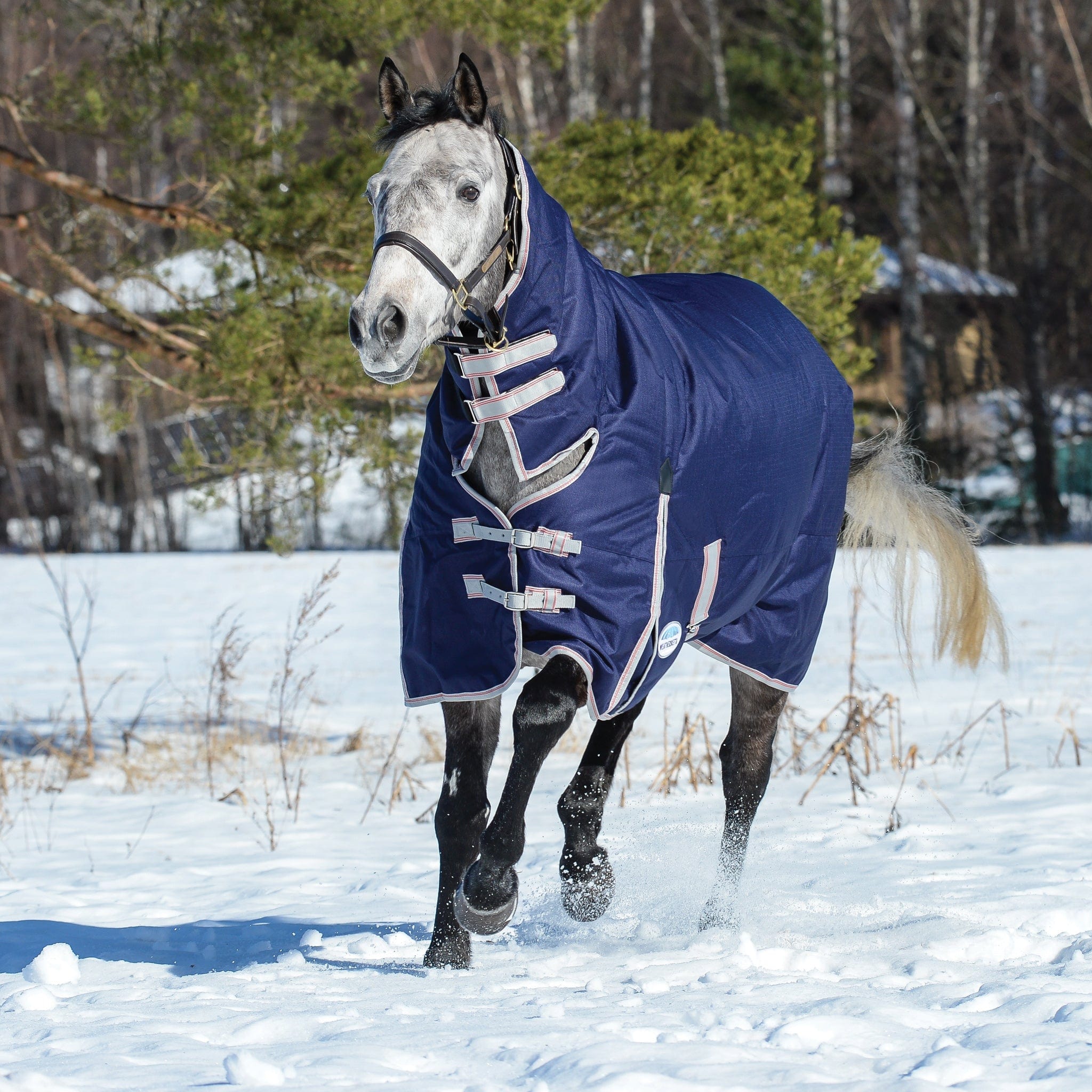 Weatherbeeta ComFiTec Essential 360g Combo Neck Turnout Rug