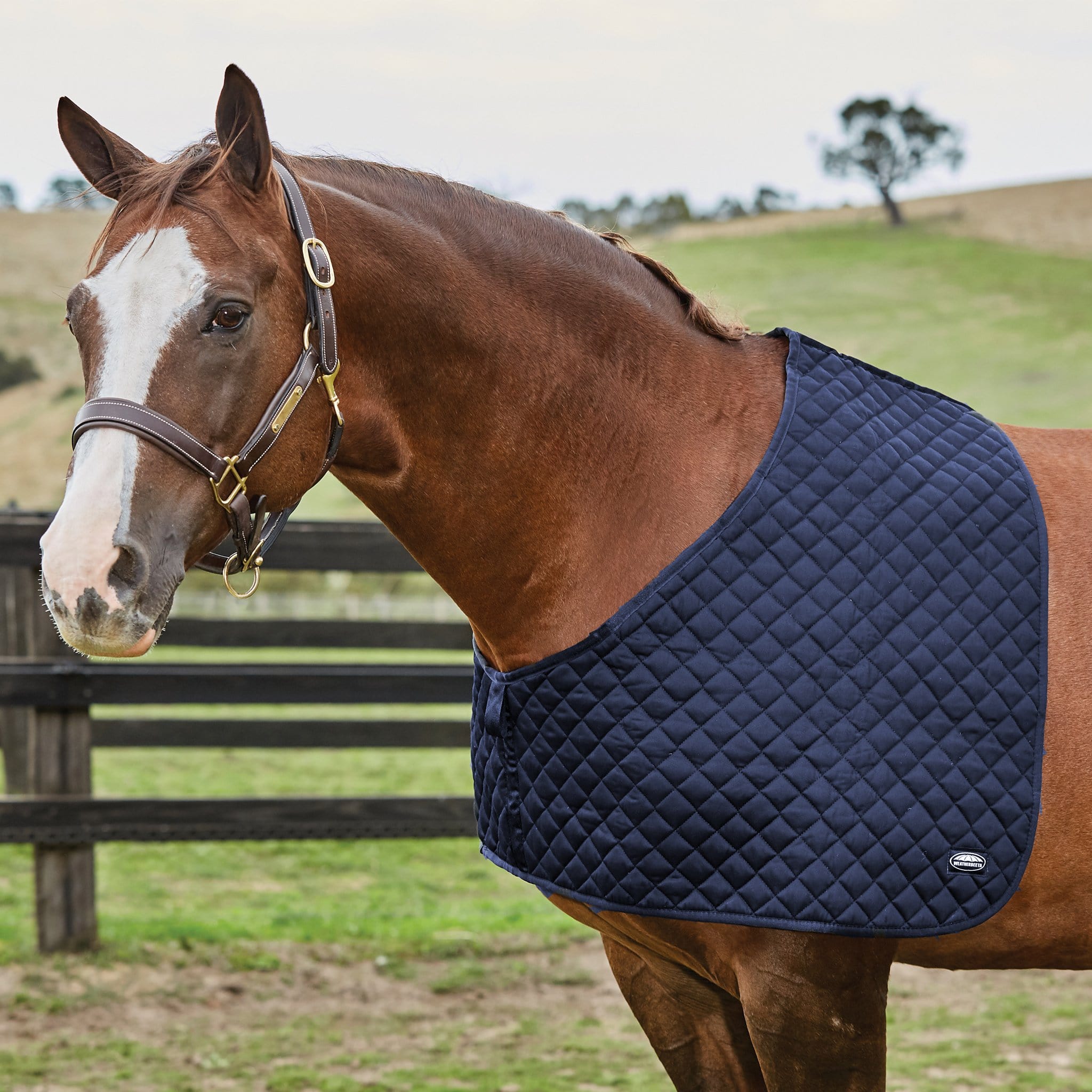 Weatherbeeta Deluxe Shoulder Guard - Pony · Navy