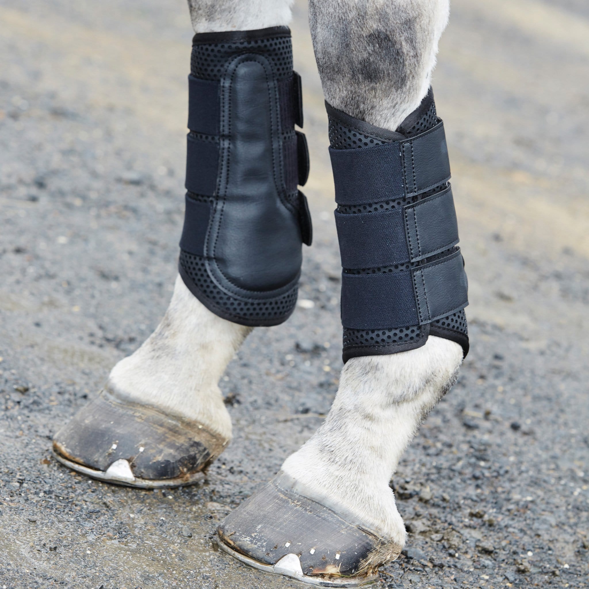 Weatherbeeta Exercise Boots