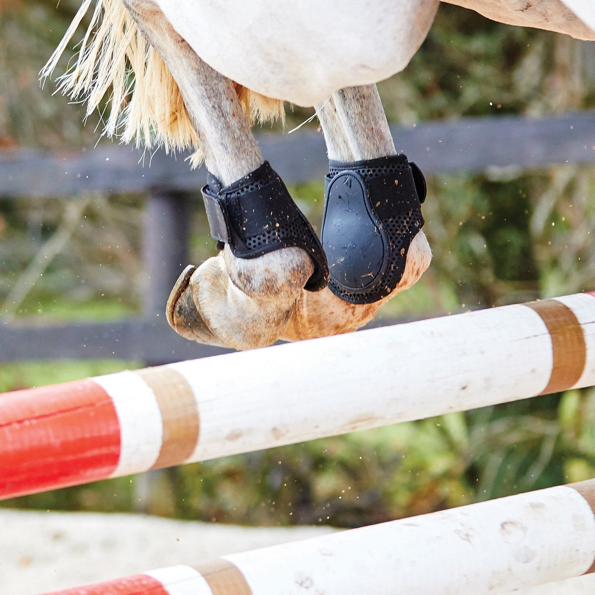 Weatherbeeta Lite Fetlock Boots