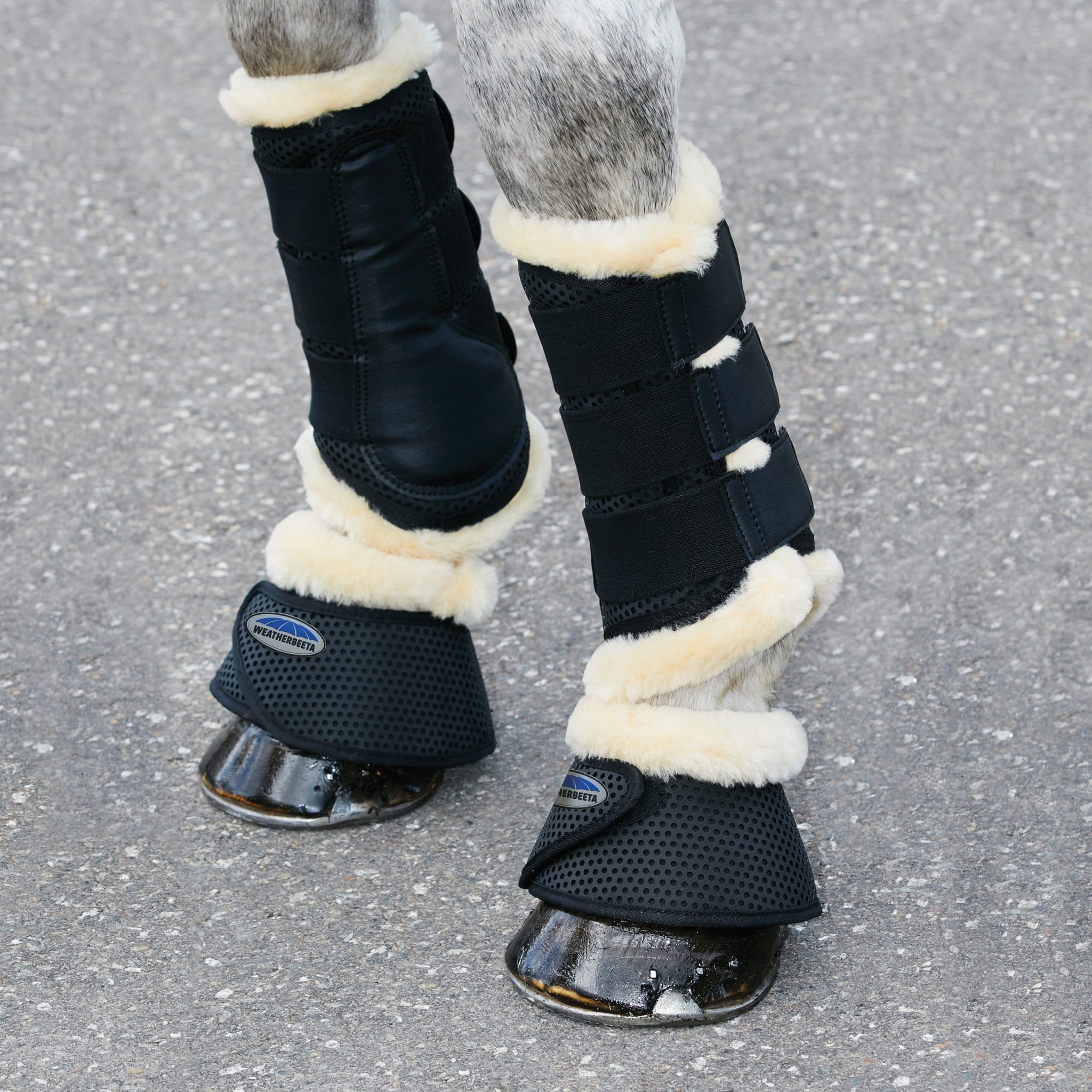 Weatherbeeta Pure Wool Trim Over Reach Boots