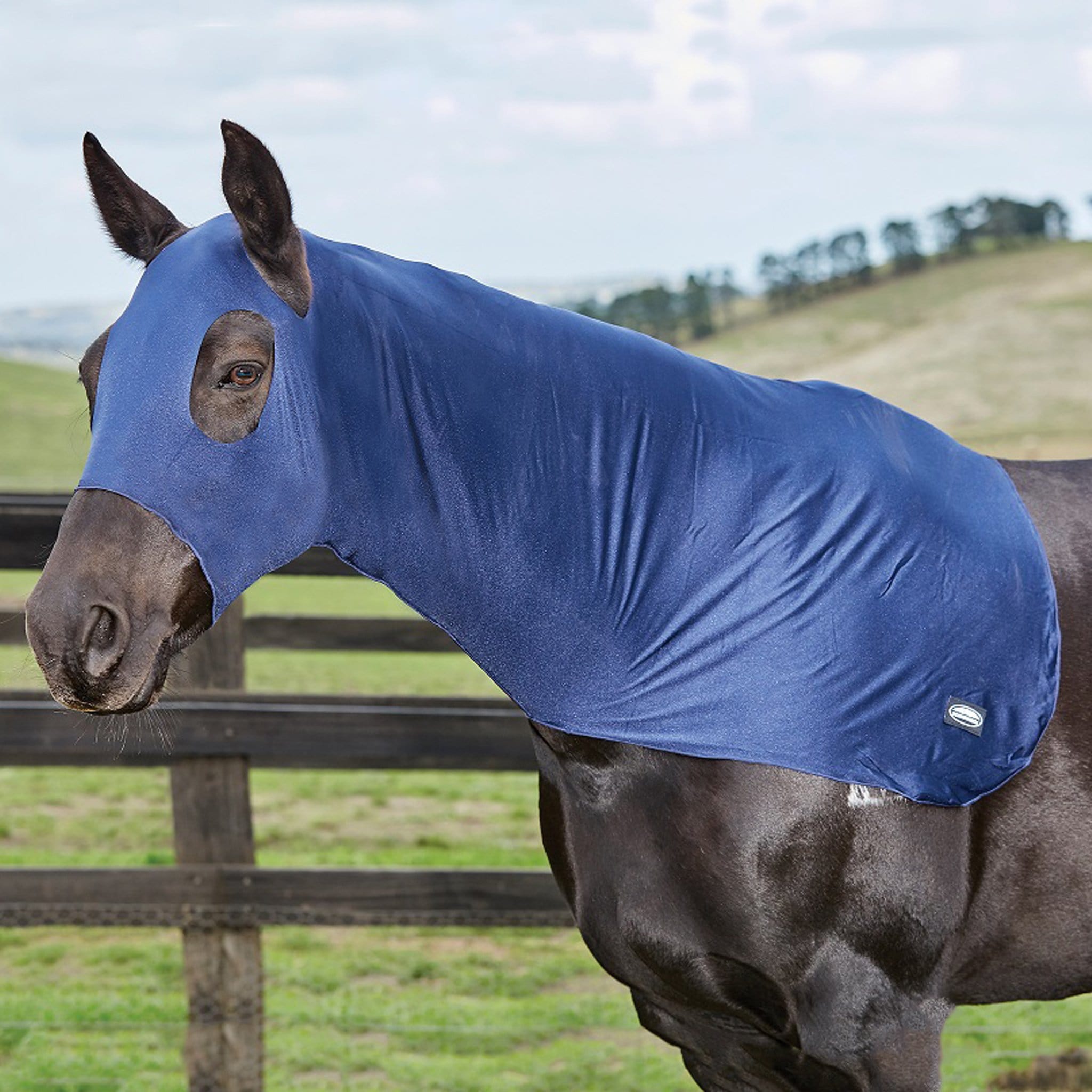 Weatherbeeta Stretch Hood Full · Navy