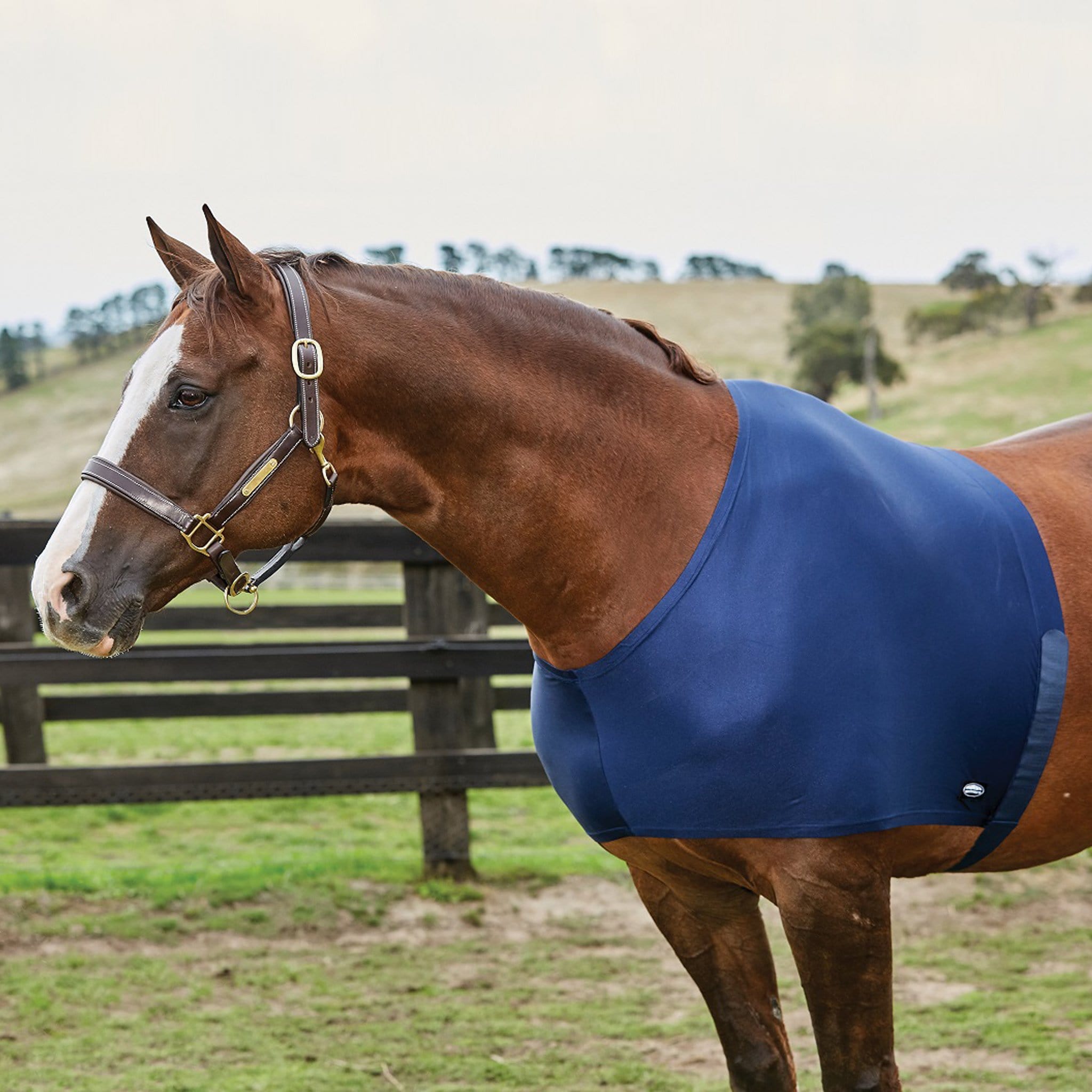 Weatherbeeta Stretch Shoulder Guard - Full · Navy