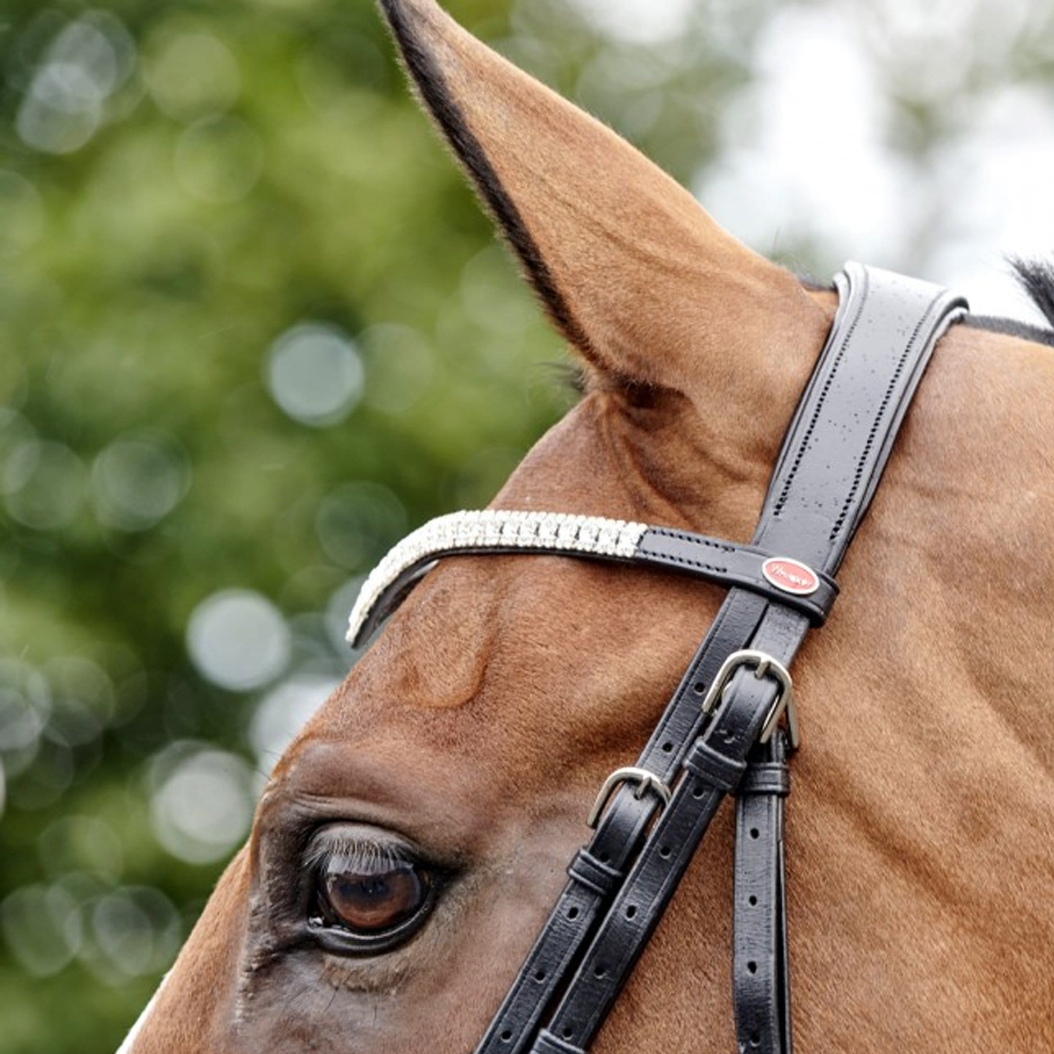 John Whitaker Lynton Snaffle Bridle