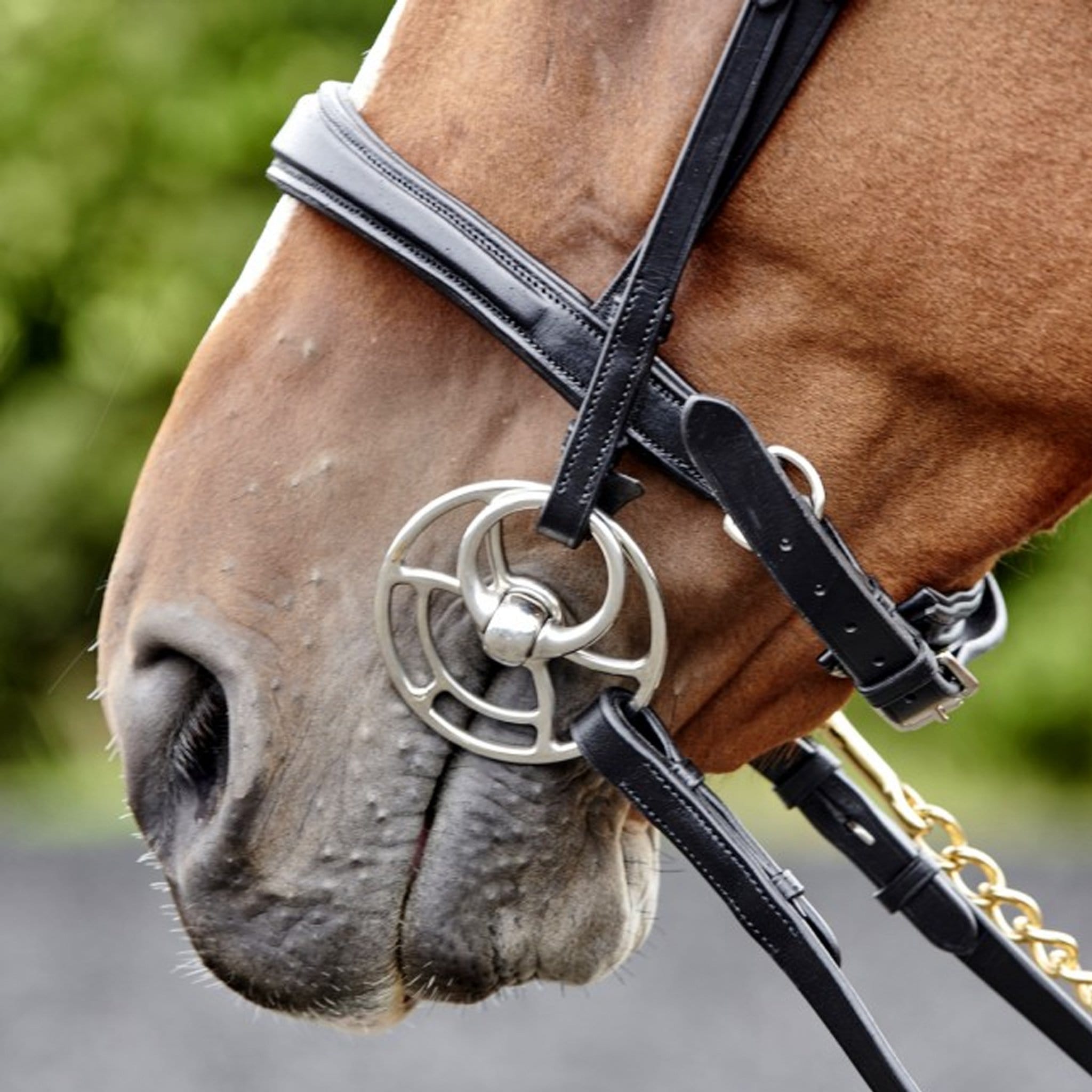 John Whitaker Lynton Snaffle Bridle
