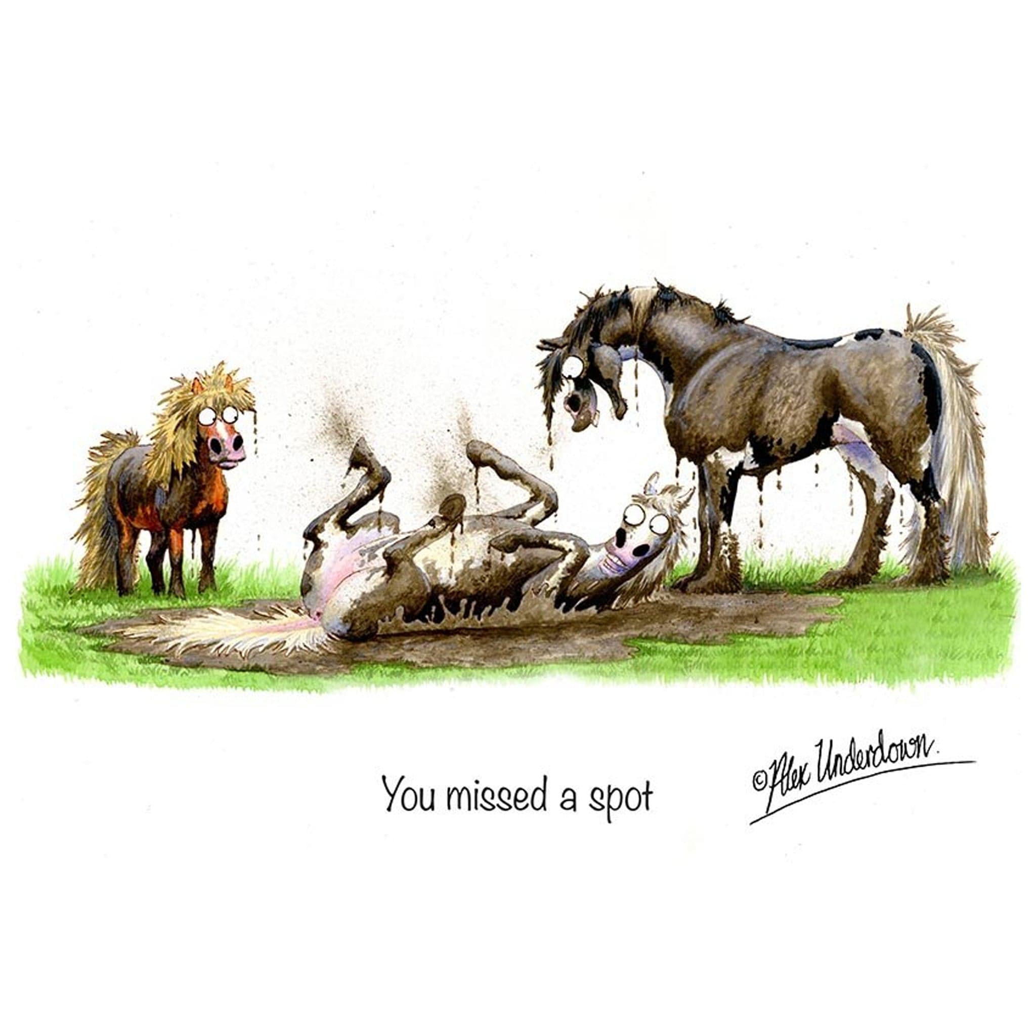 You Missed a Spot Greeting Card ALUNSPOTGC01
