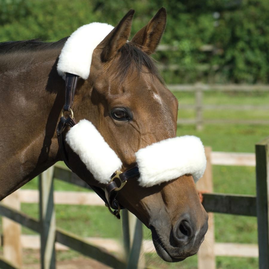 Nuumed Anti-Rub Wool Headcollar Set Black - Large