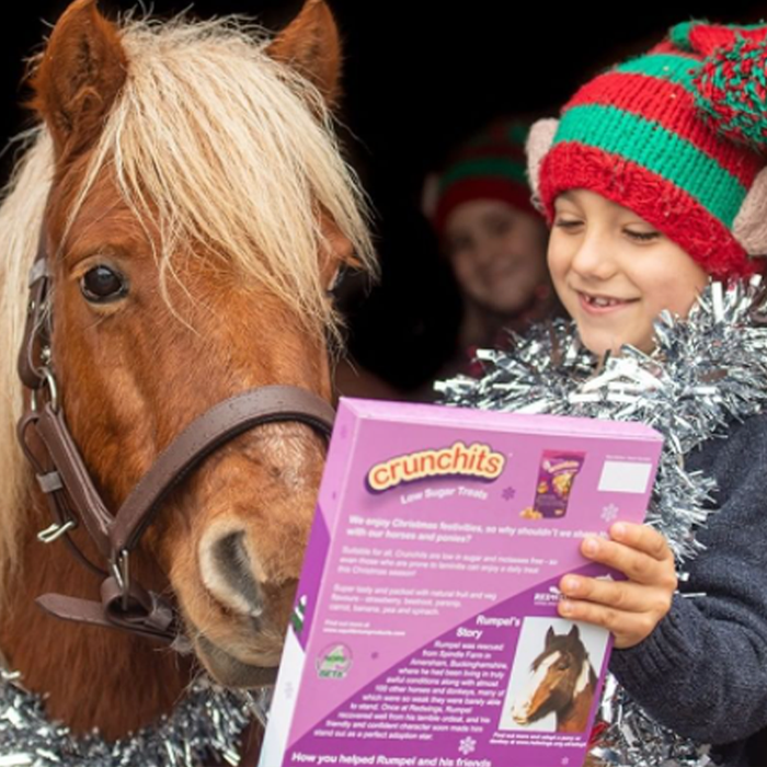 {"default":"Advent Calendars for Horses"}