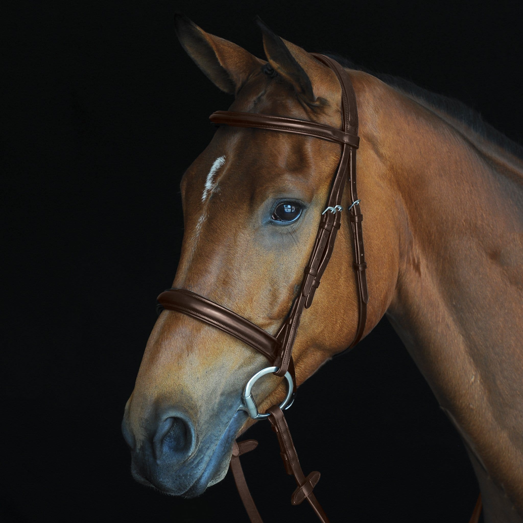 Collegiate Comfort Crown Padded Raised Cavesson Bridle Brown 800857