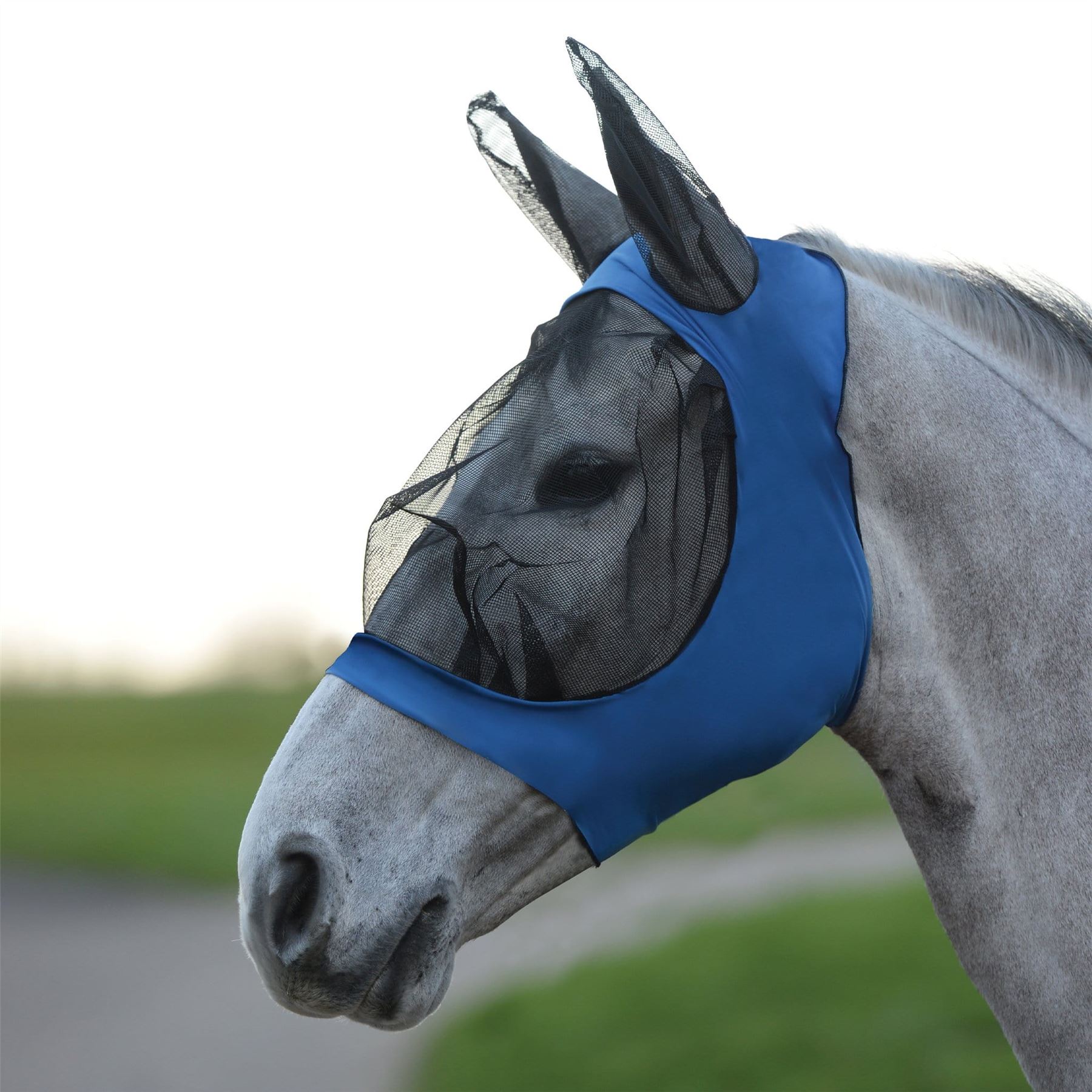 Weatherbeeta Roma Stretch Eye Saver with Ears Pony Royal Blue