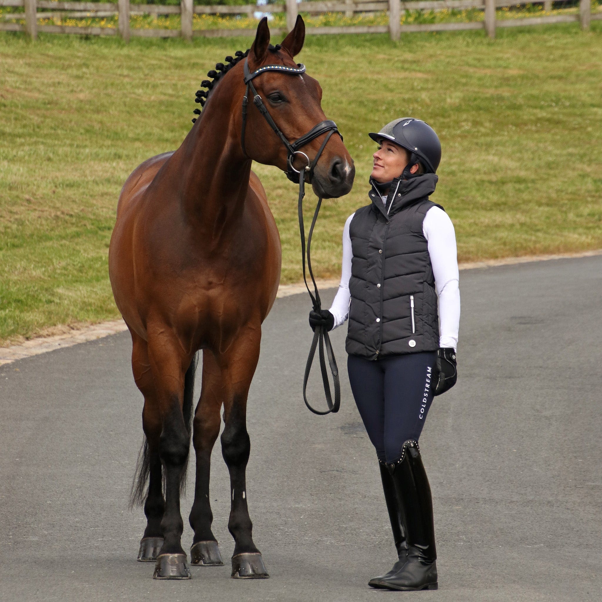 Coldstream Kilham Silicone Full Seat Competition Breeches 24982 Navy