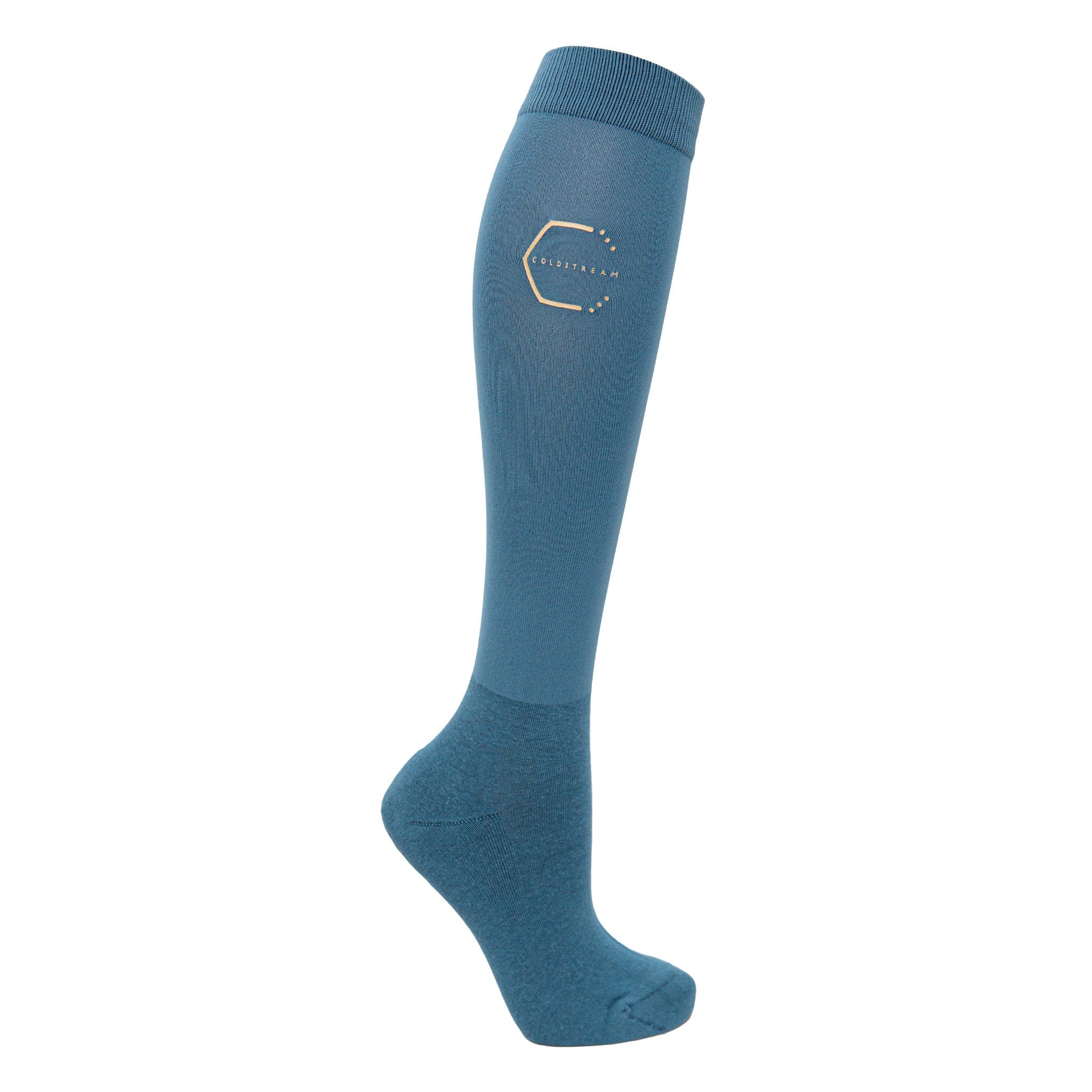 Coldstream Next Generation Ednam Riding Socks - Slate Blue